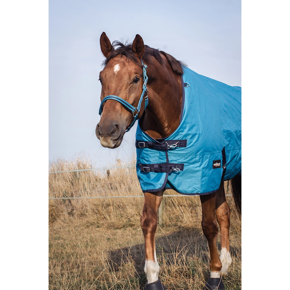 Deken Epplejeck Rindal 100gr Middenblauw - Afbeelding 5