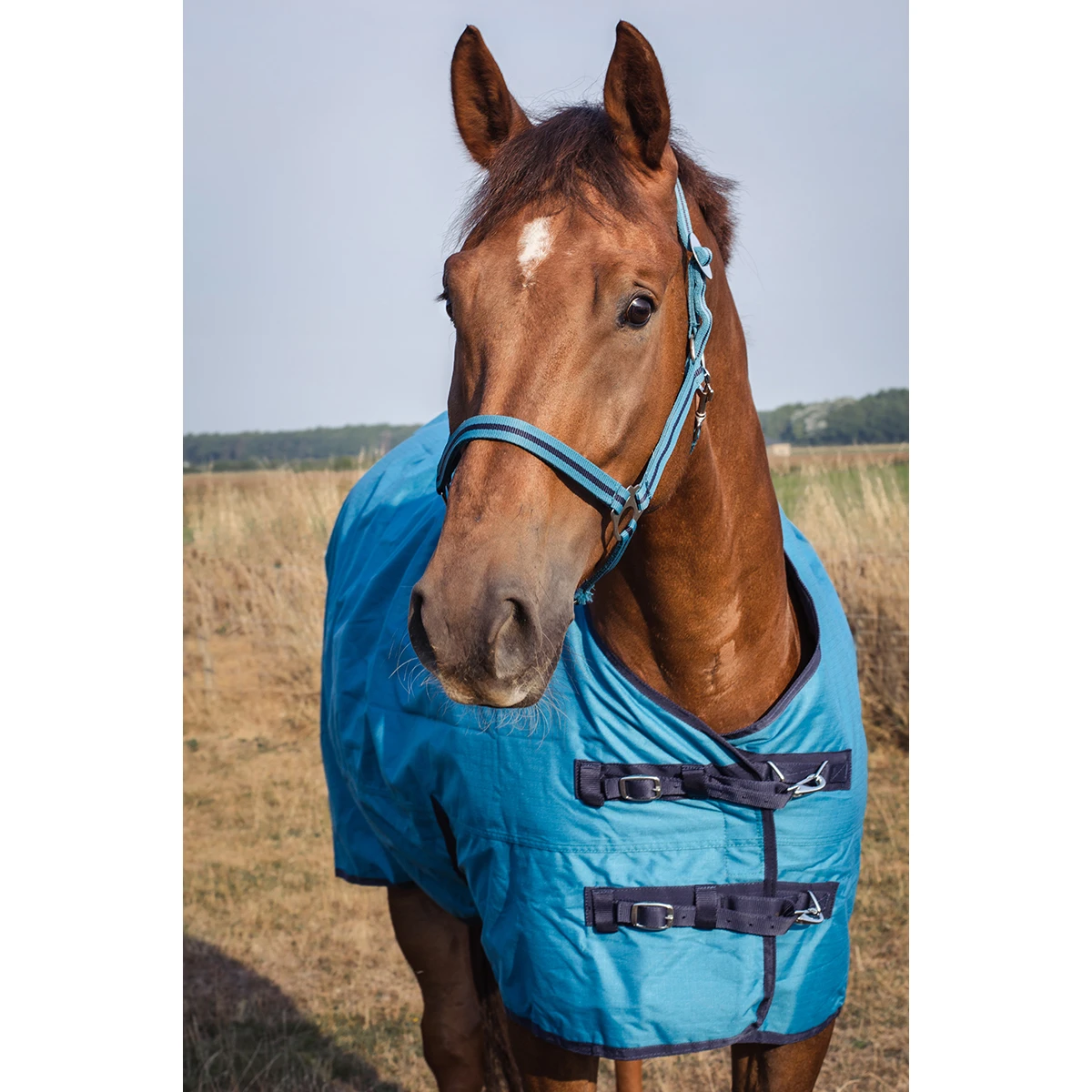 Deken Epplejeck Rindal 100gr Middenblauw - Afbeelding 6