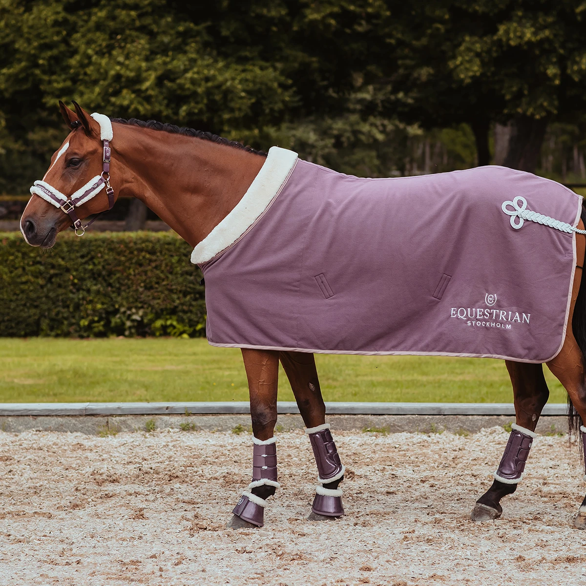 Deken Equestrian Stockholm Orchid Bloom Paars - Afbeelding 2