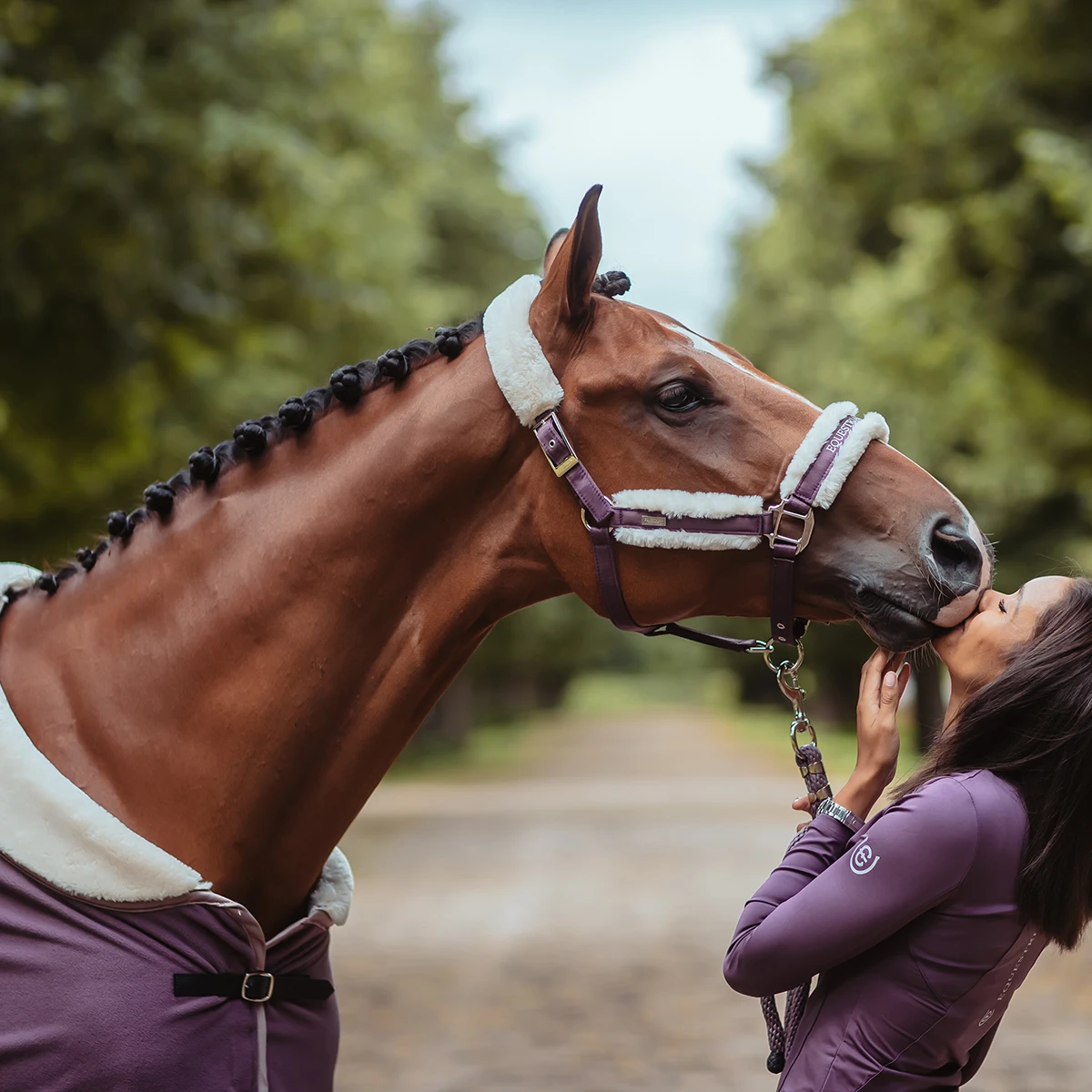 Deken Equestrian Stockholm Orchid Bloom Paars - Afbeelding 3