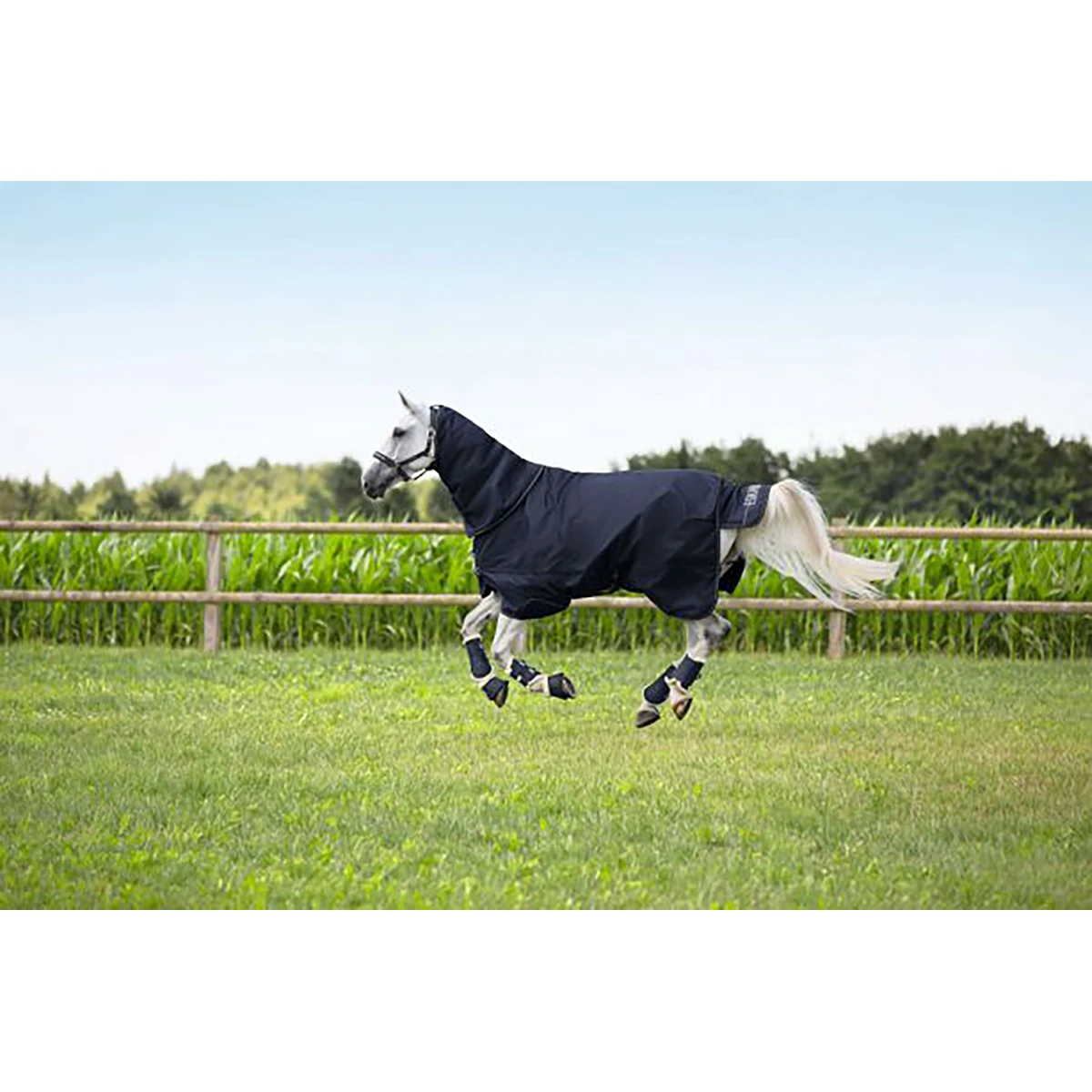 Deken Eskadron Omega 250gr Donkerblauw - Afbeelding 4