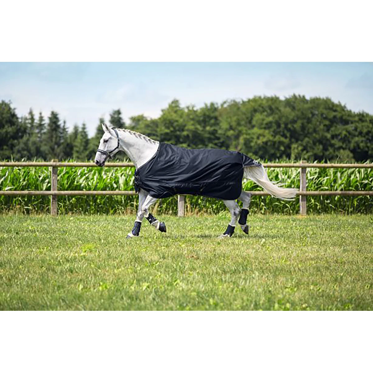 Deken Eskadron Omega 250gr Donkerblauw - Afbeelding 5