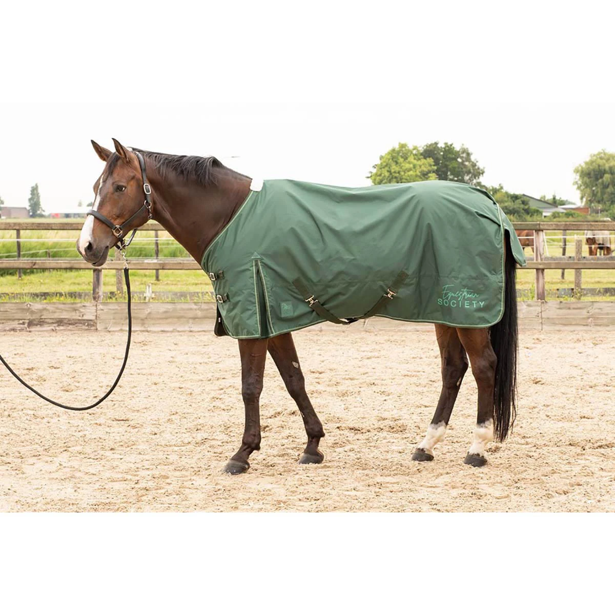 Deken Harry's Horse Thor 0gr Fleece Donkergroen - Afbeelding 5