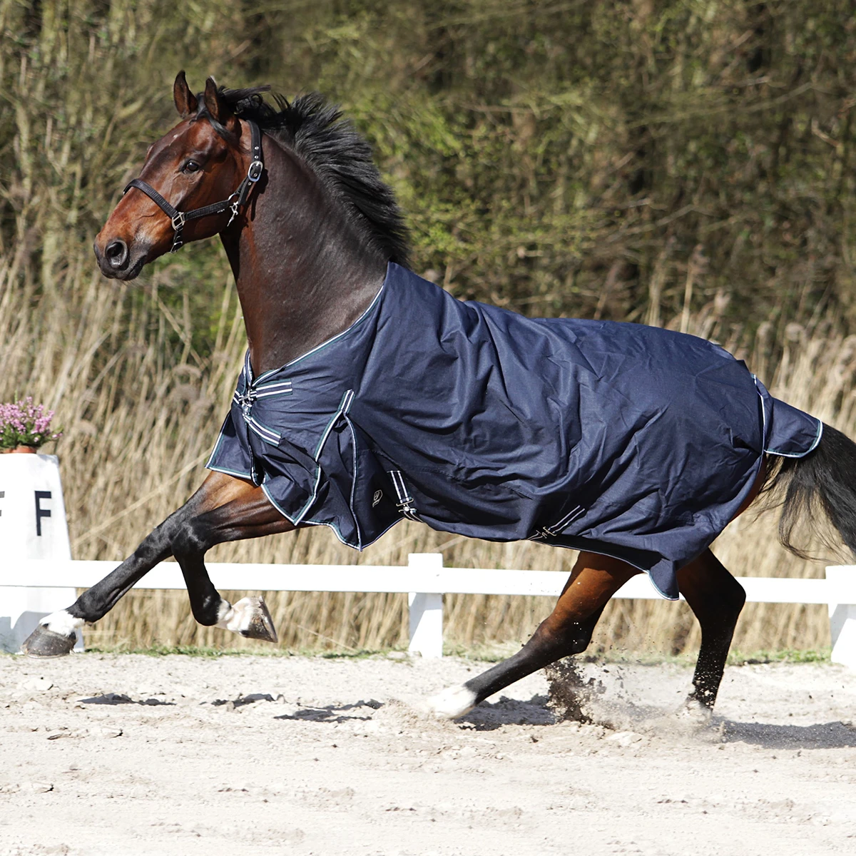 Deken Horsegear Colcha 0gr Donkerblauw-groen - Afbeelding 6