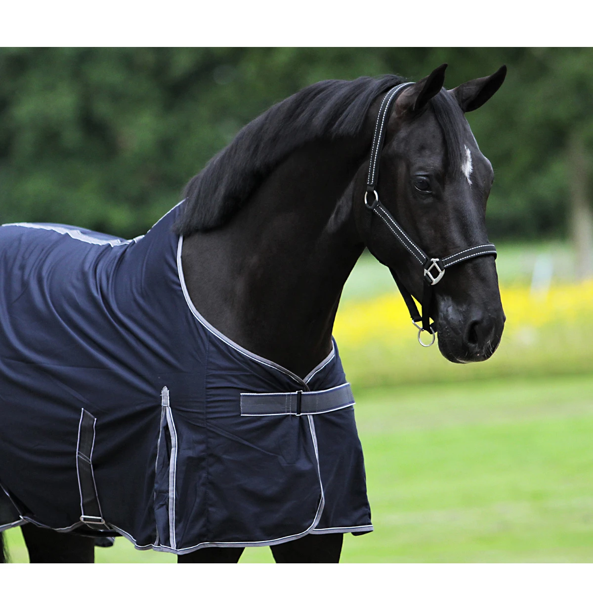 Deken Horsegear Cooler Thin Donkerblauw - Afbeelding 4
