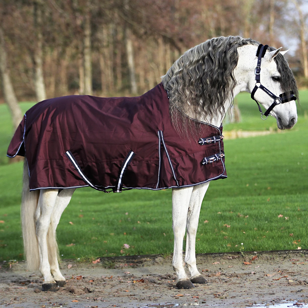 Deken Horsegear Extreme 300gr Paars - Afbeelding 3
