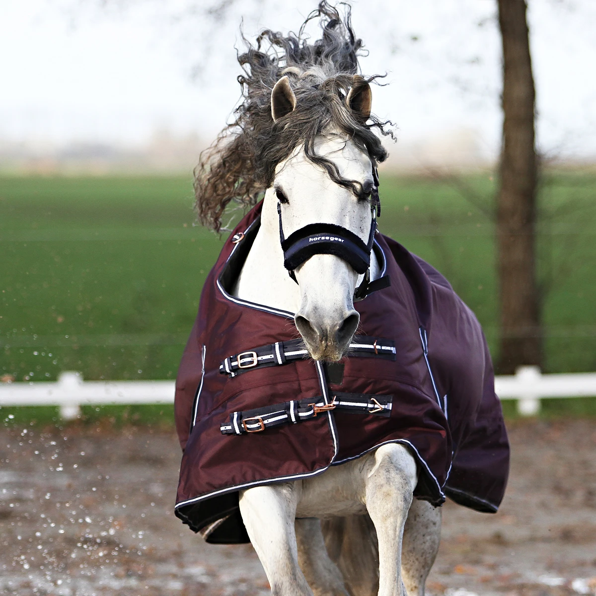 Deken Horsegear Extreme 300gr Paars - Afbeelding 6