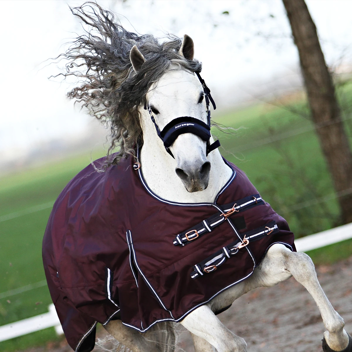 Deken Horsegear Extreme 300gr Paars - Afbeelding 7