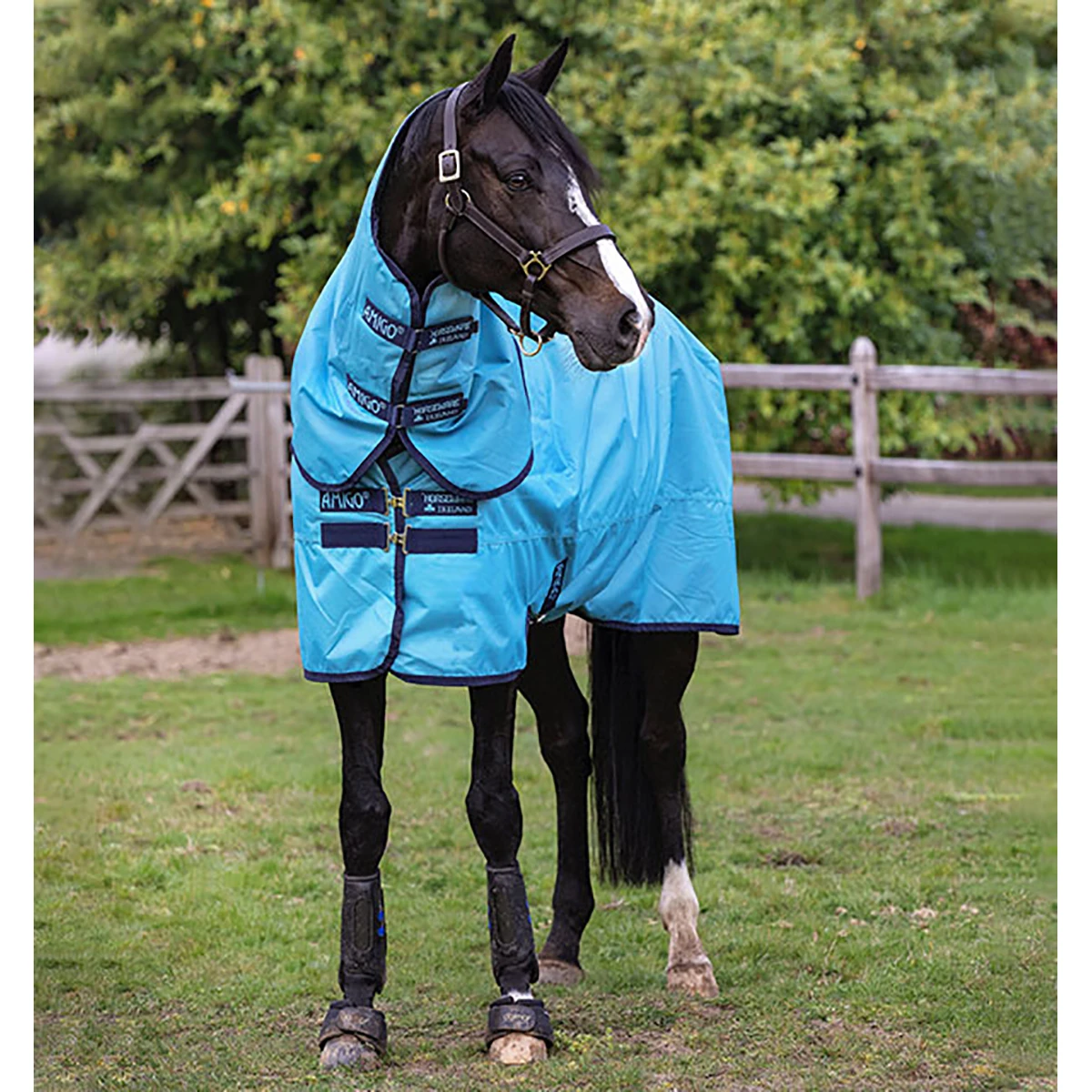 Deken Horseware Amigo Hero 600 Plus 100gr Lichtblauw - Afbeelding 3