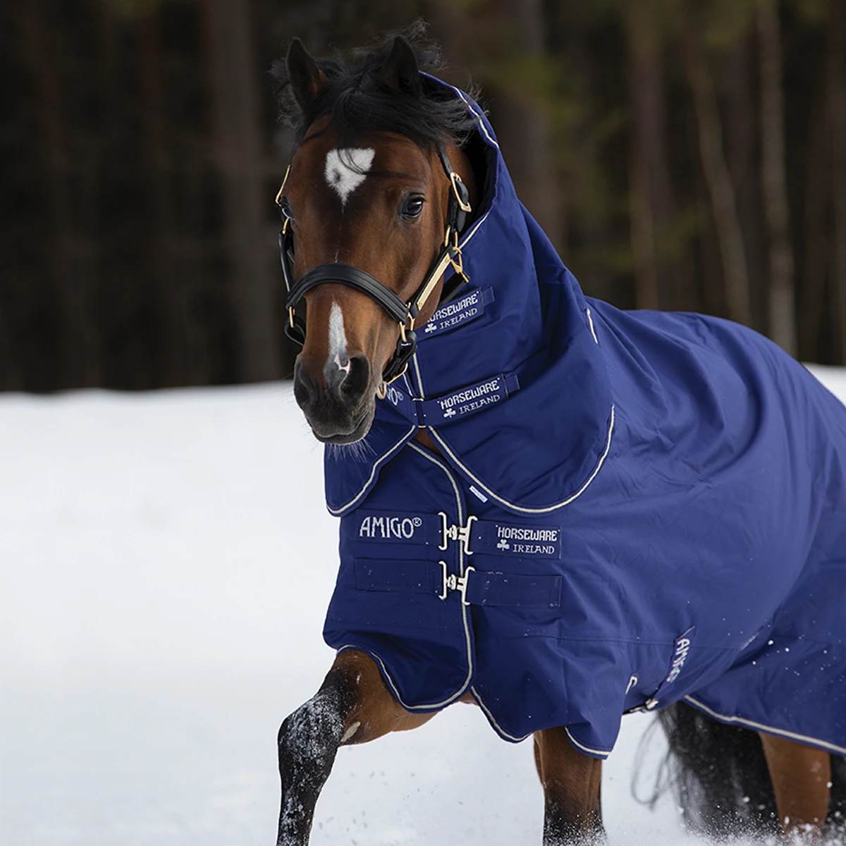 Deken Horseware Amigo Hero 900 Plus 200gr Middenblauw - Afbeelding 5