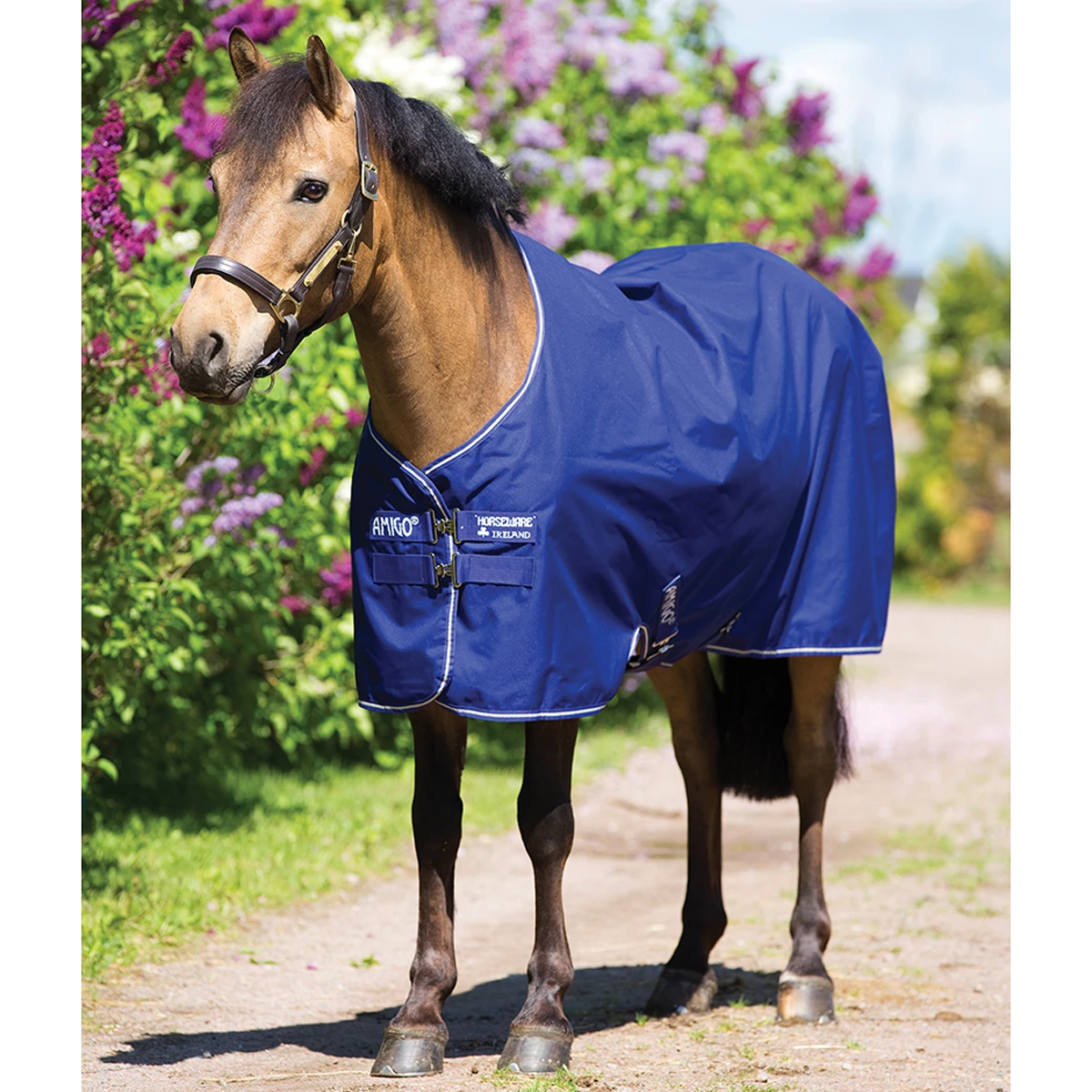 Deken Horseware Amigo Hero 900 Pony 200gr Middenblauw - Afbeelding 3