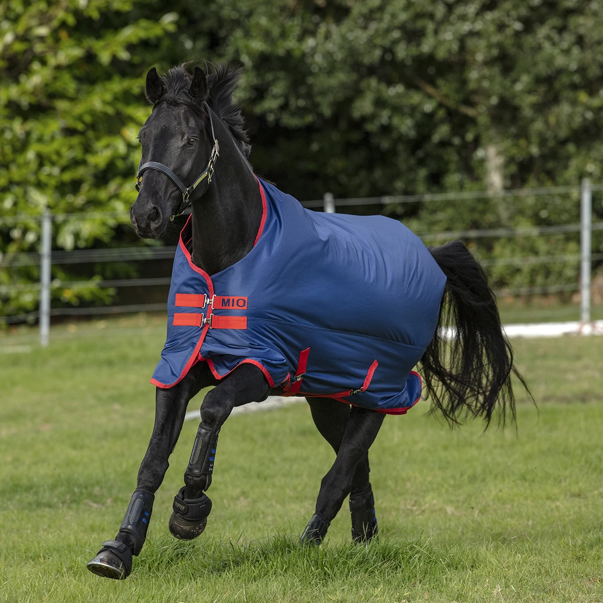 Deken Horseware Mio Turnout Medium 200gr Donkerblauw-rood - Afbeelding 3