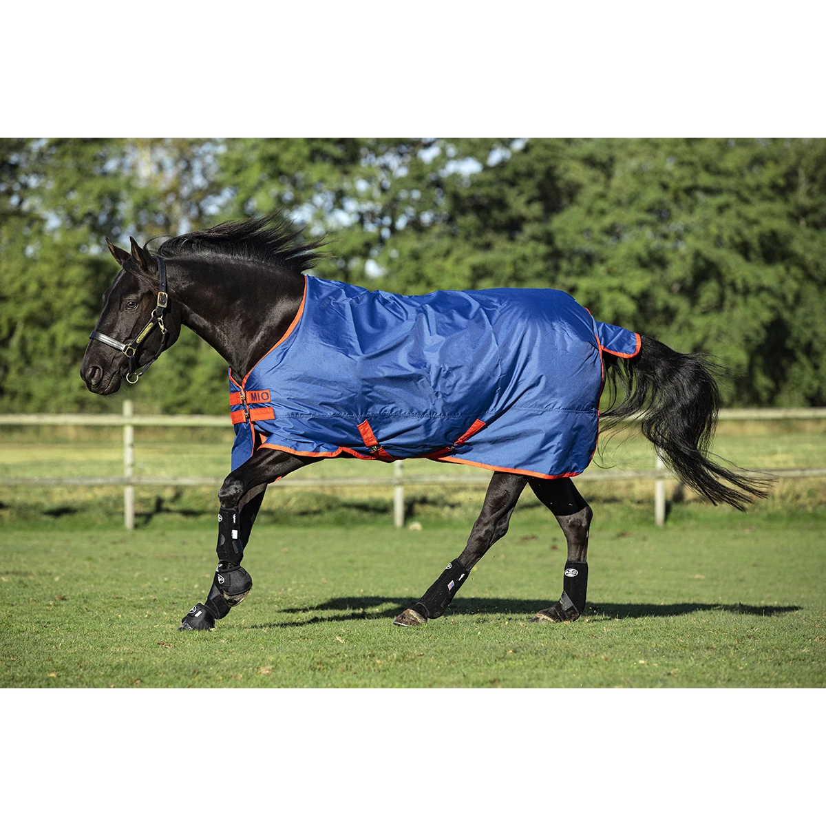 Deken Horseware Mio Turnout Medium 200gr Donkerblauw-rood - Afbeelding 4
