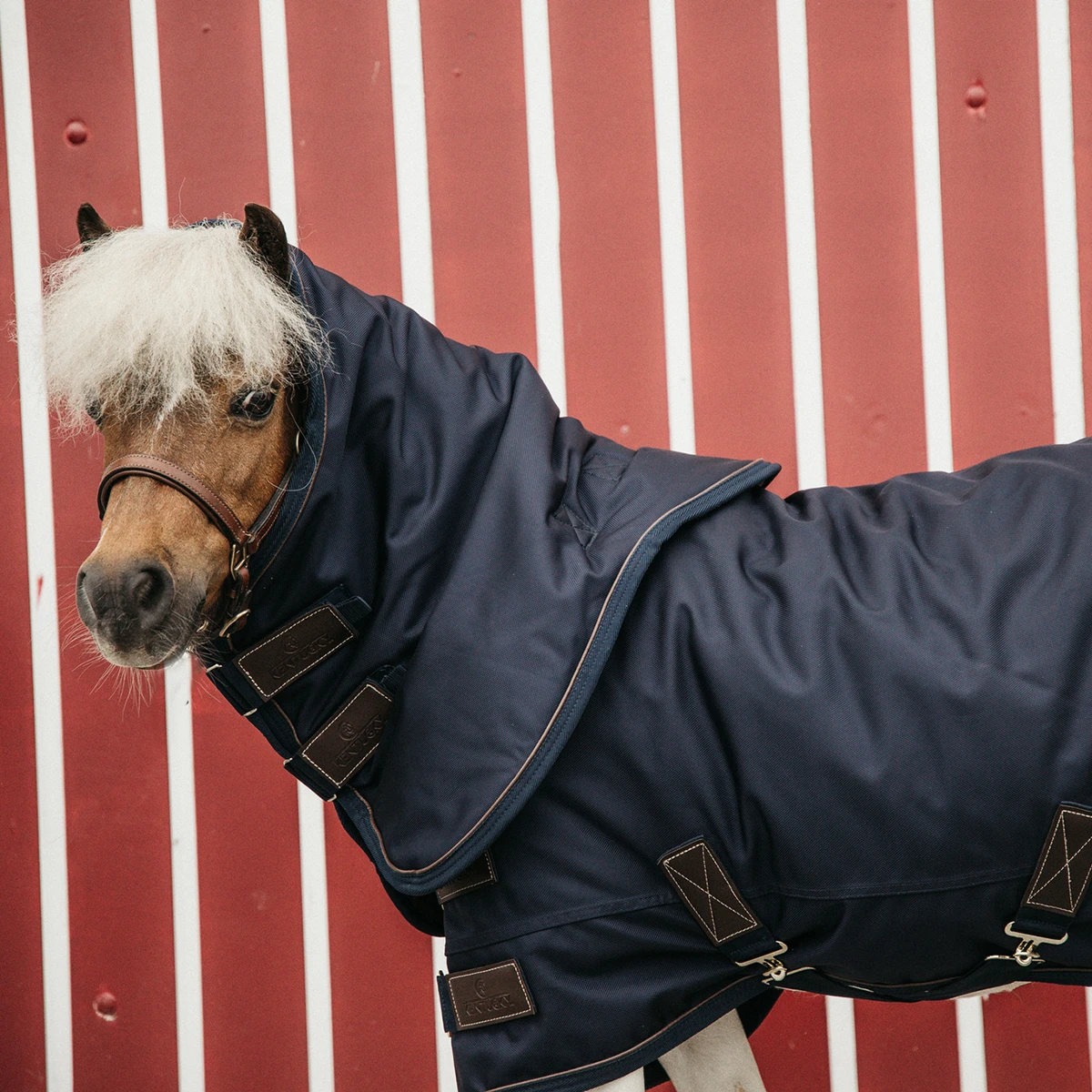 Deken Kentucky All Weather Pro Tiny 0gr Donkerblauw - Afbeelding 3