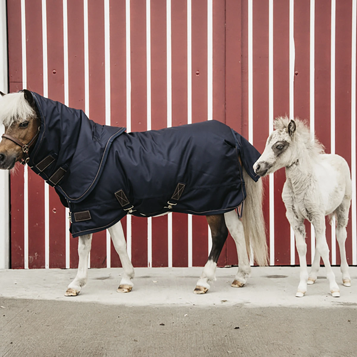 Deken Kentucky All Weather Pro Tiny 0gr Donkerblauw - Afbeelding 4