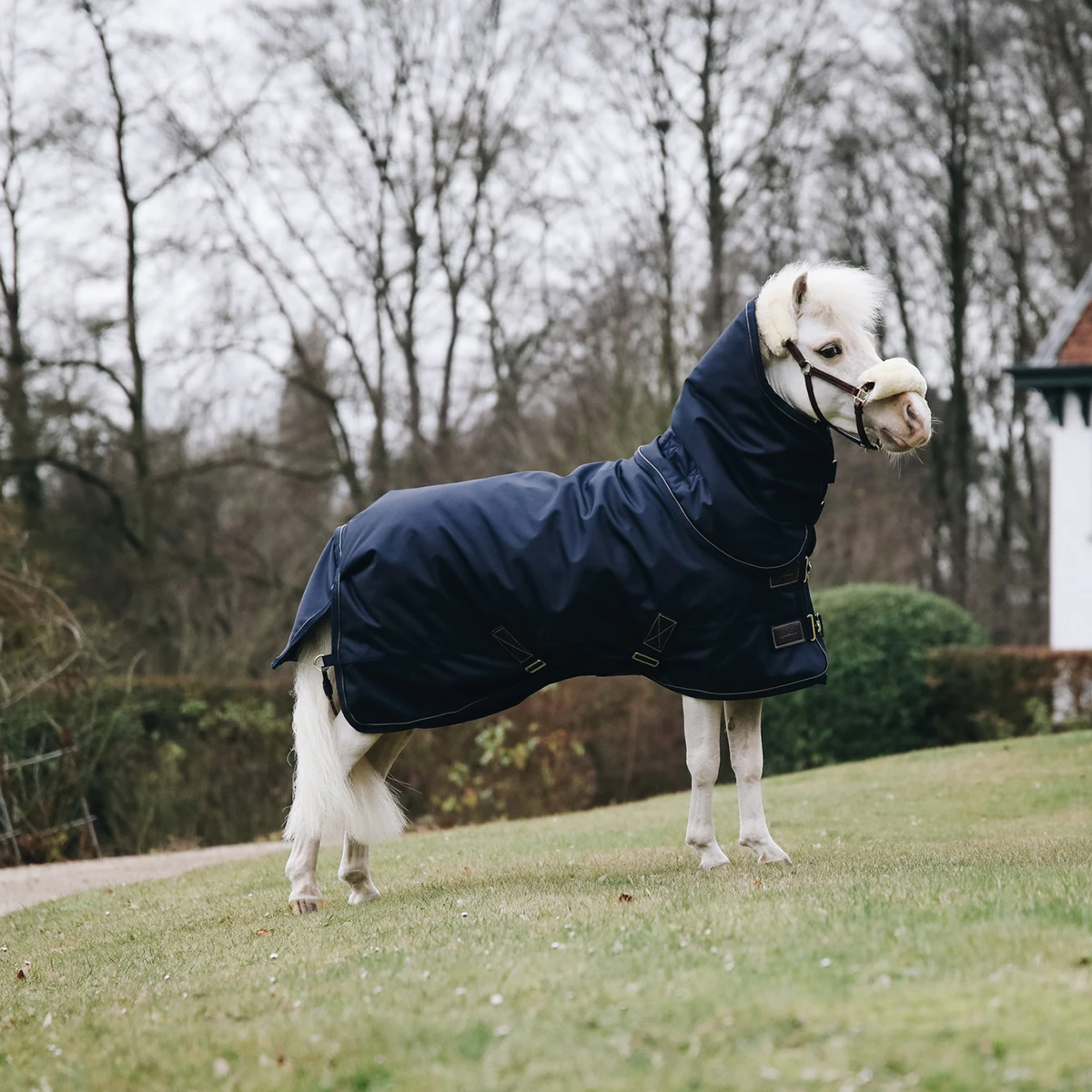 Deken Kentucky All Weather Pro Tiny 0gr Donkerblauw - Afbeelding 5