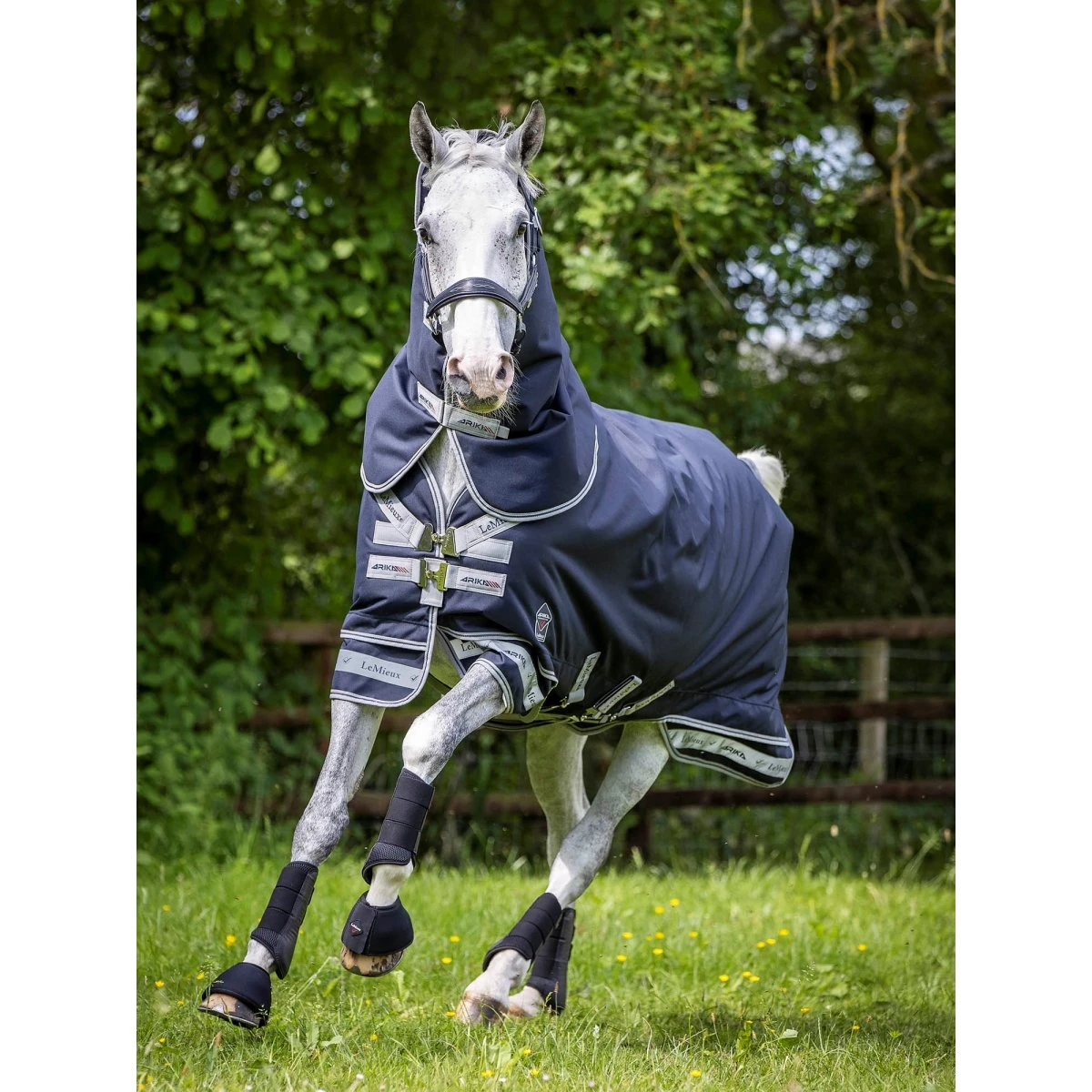 Deken LeMieux Turnout Arika Storm-Tek 350gr Donkerblauw - Afbeelding 4