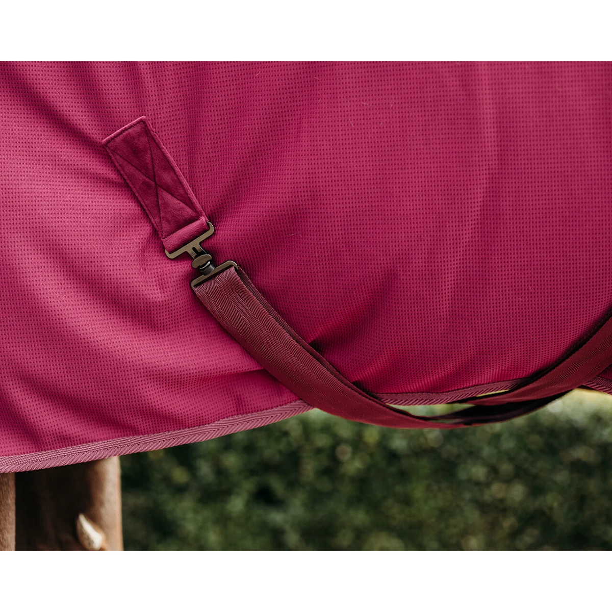 Deken QHP Coolmesh Astana Donkerrood - Afbeelding 5