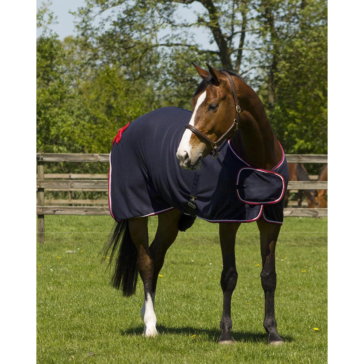 Deken QHP Eldorado Fleece Donkerblauw - Afbeelding 6