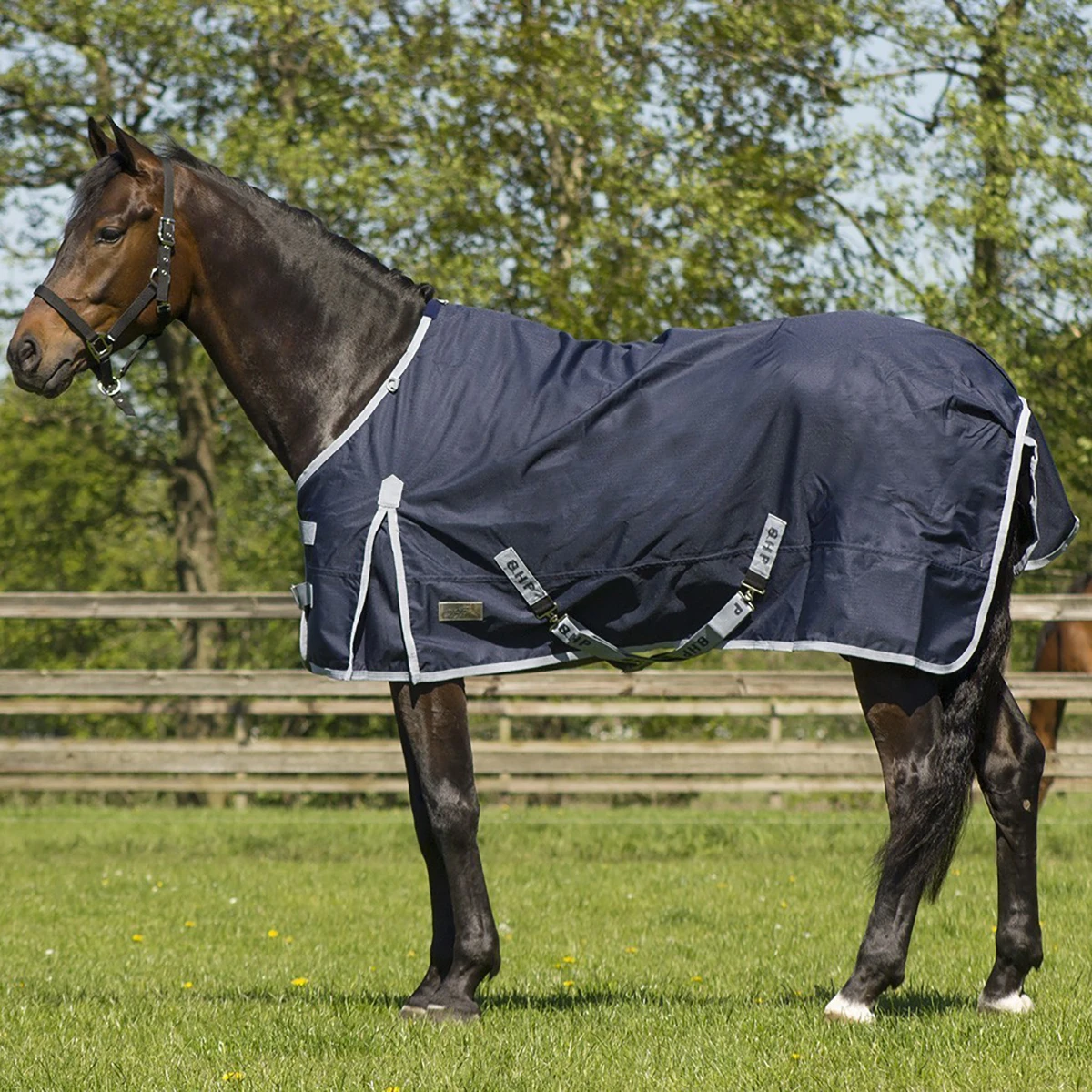 Deken QHP Turnout 100gr Donkerblauw - Afbeelding 4