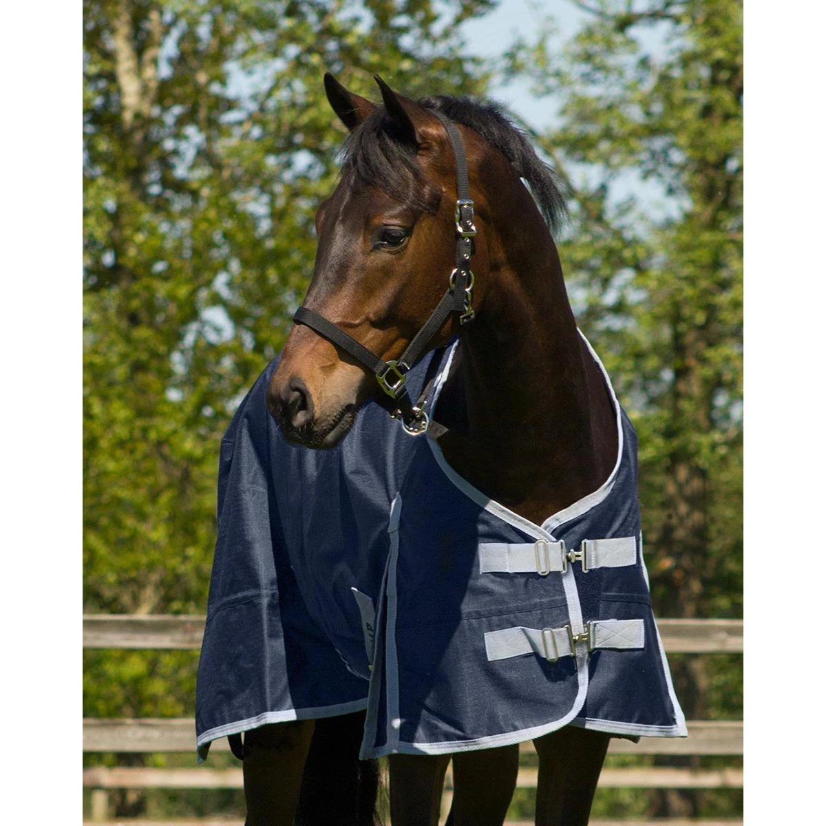 Deken QHP Turnout 100gr Donkerblauw - Afbeelding 5