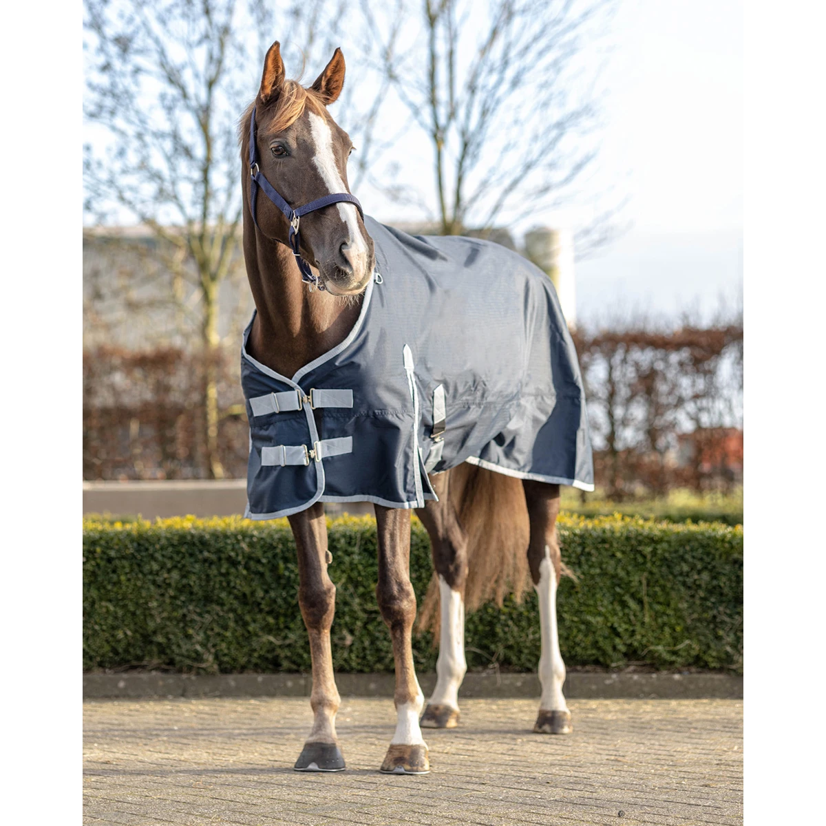 Deken QHP Turnout Fleece 0gr Donkerblauw - Afbeelding 5