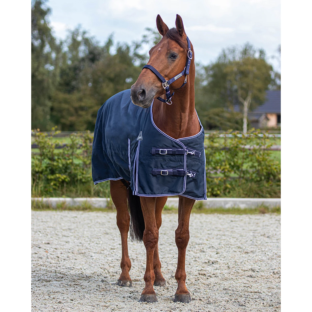 Deken QHP Turnout Luxe 0gr Donkerblauw - Afbeelding 3