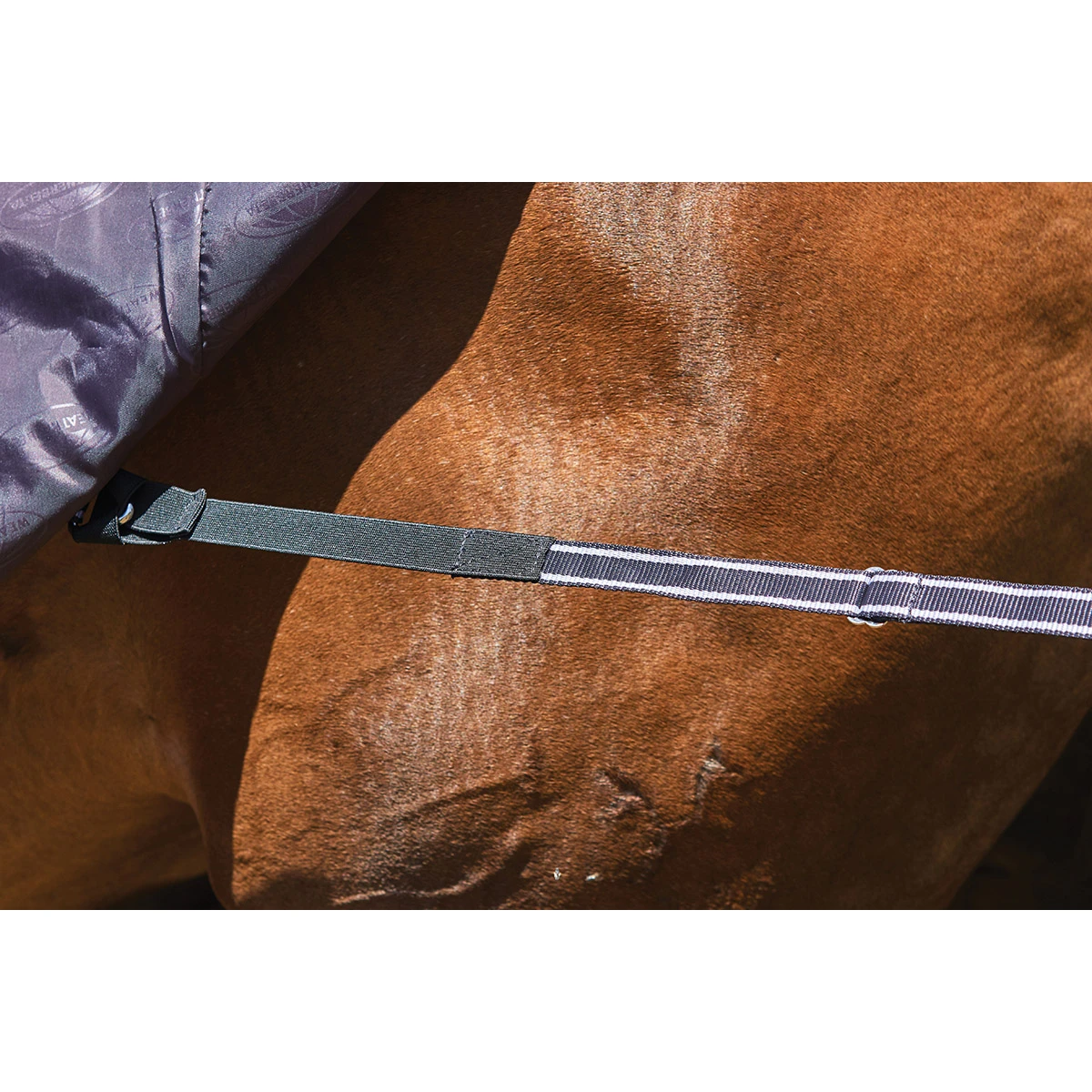 Deken WeatherBeeta ComFiTec Plus Dynamic 0gr Paars-zwart - Afbeelding 7