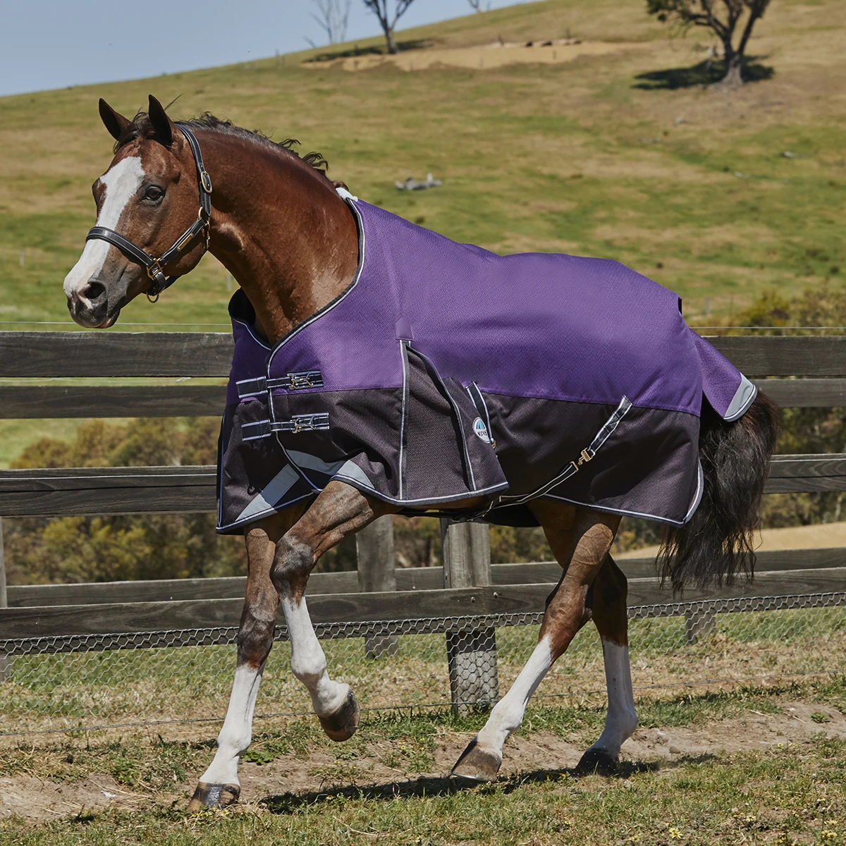 Deken WeatherBeeta ComFiTec Plus Dynamic 0gr Paars-zwart - Afbeelding 9
