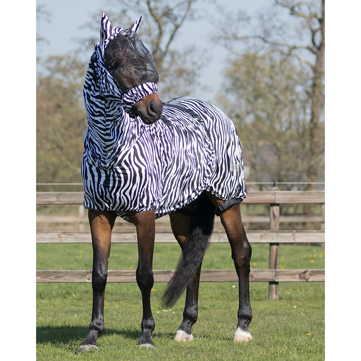 Eczeem Masker QHP Zebra - Afbeelding 2