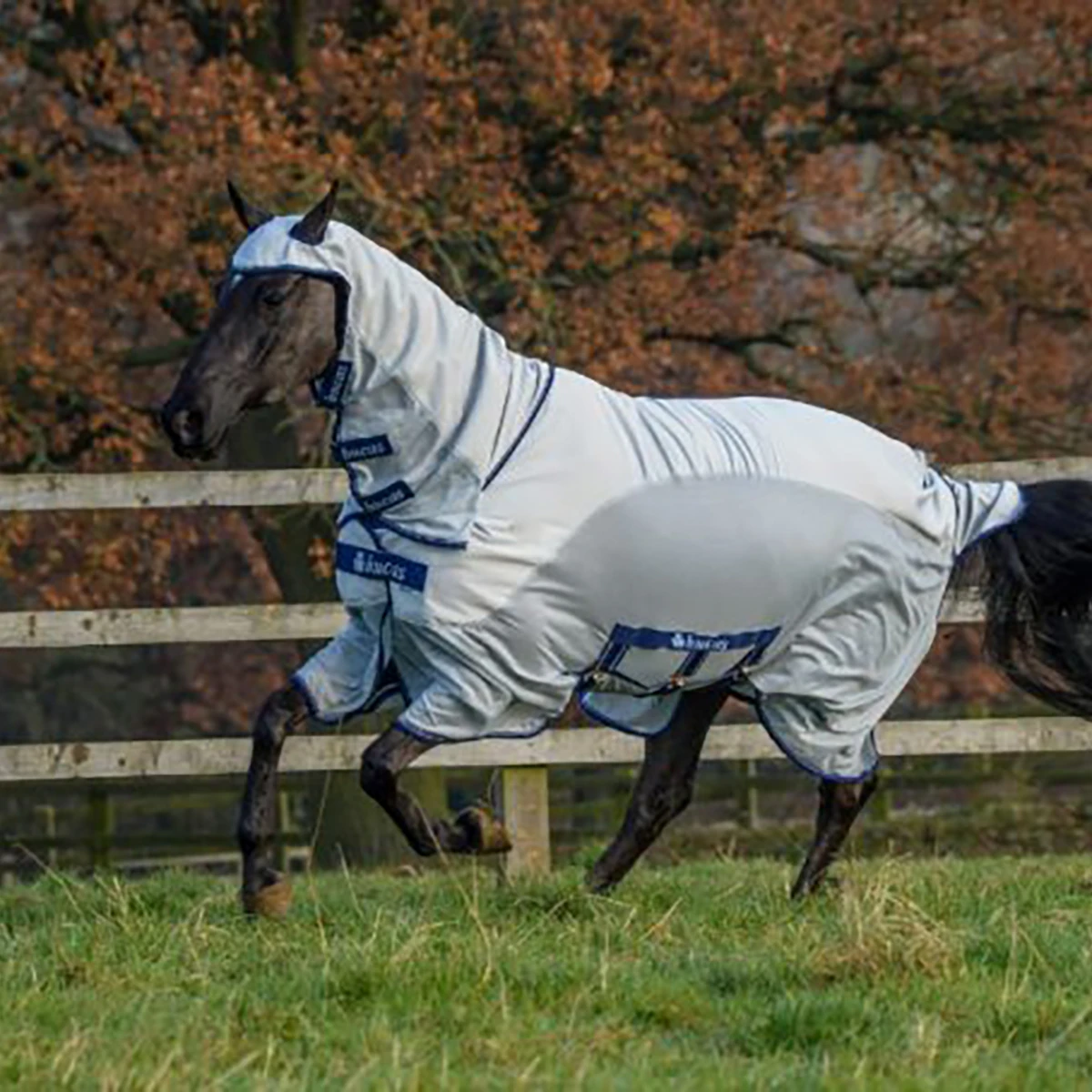 Eczeemdeken Bucas Sweet Itch X Light Zilver - Afbeelding 2