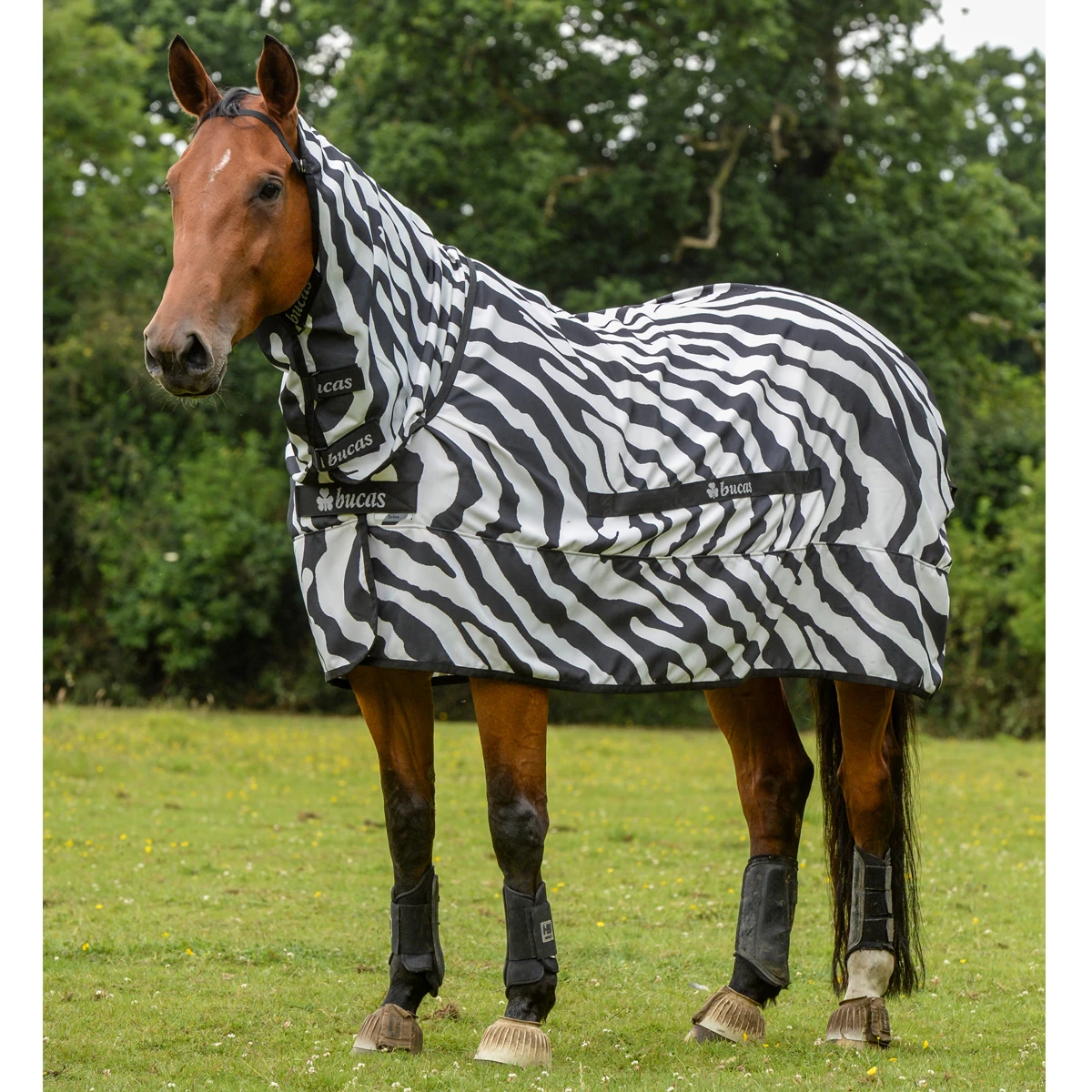 Eczeemdeken Bucas Sweet Itch Zebra Zebra - Afbeelding 2
