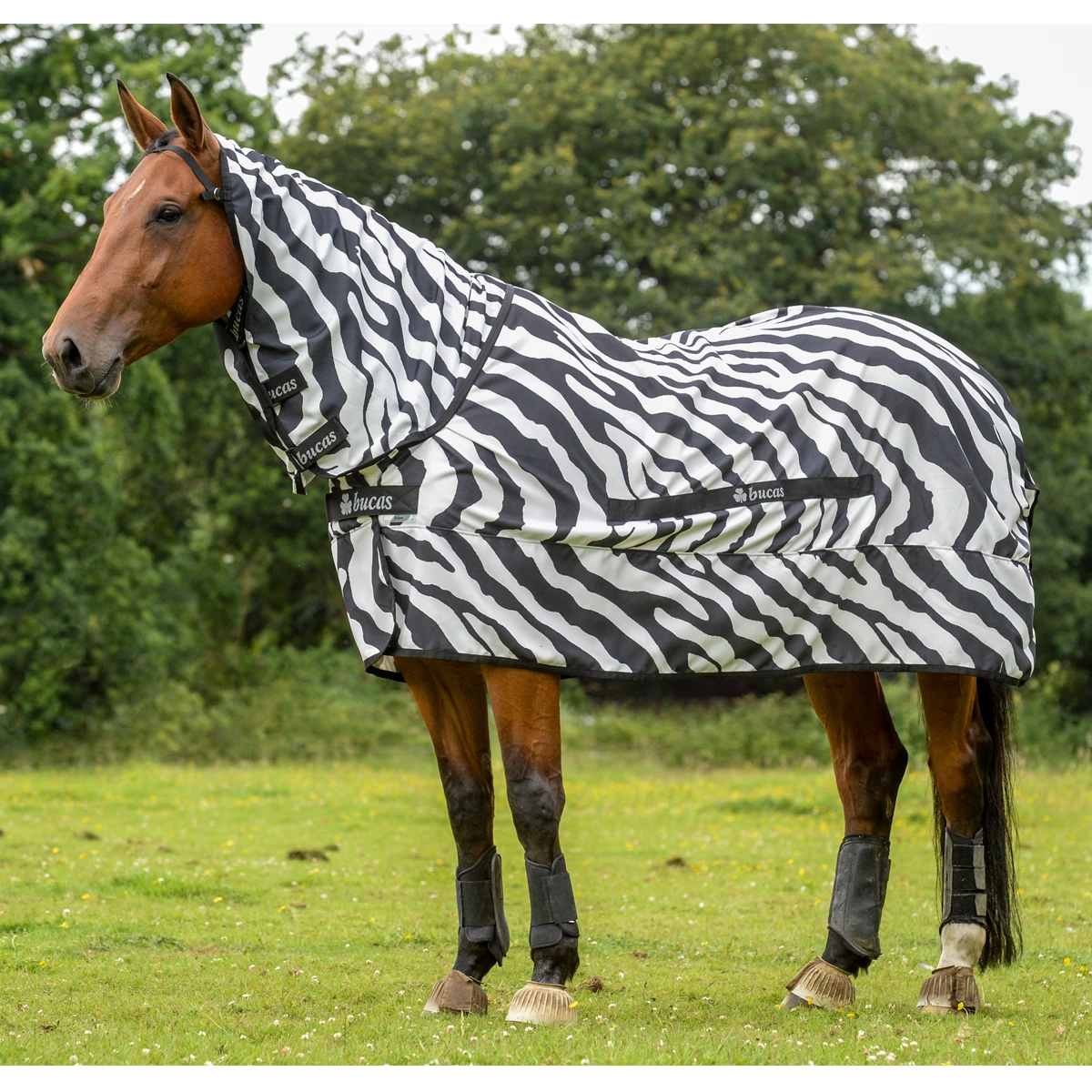 Eczeemdeken Bucas Sweet Itch Zebra Zebra - Afbeelding 3