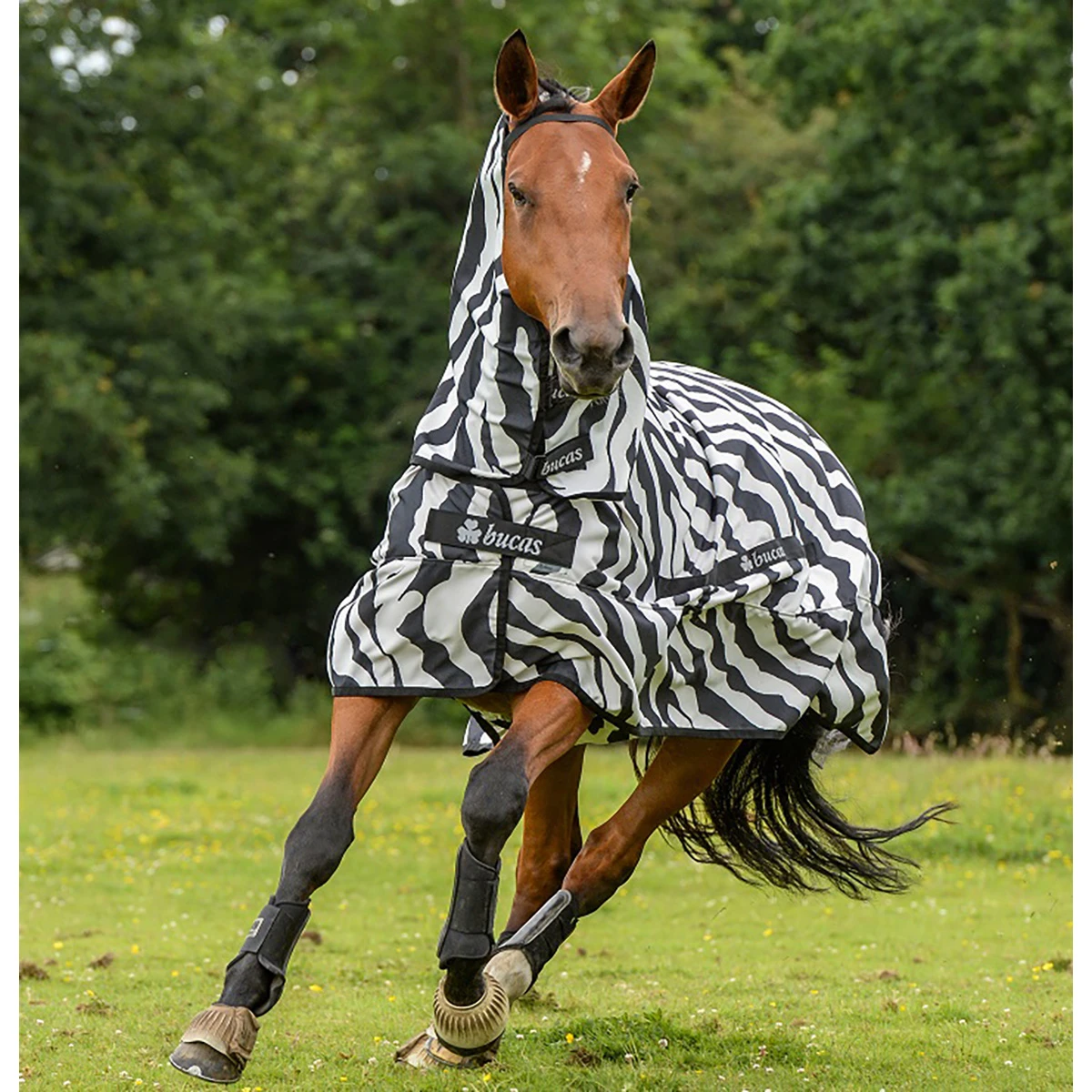 Eczeemdeken Bucas Sweet Itch Zebra Zebra - Afbeelding 4