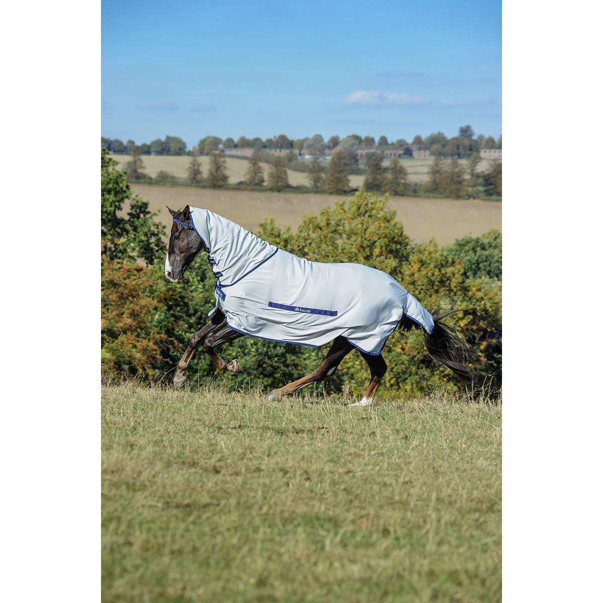 Eczeemdeken Bucas Sweet Itch Zilver - Afbeelding 2