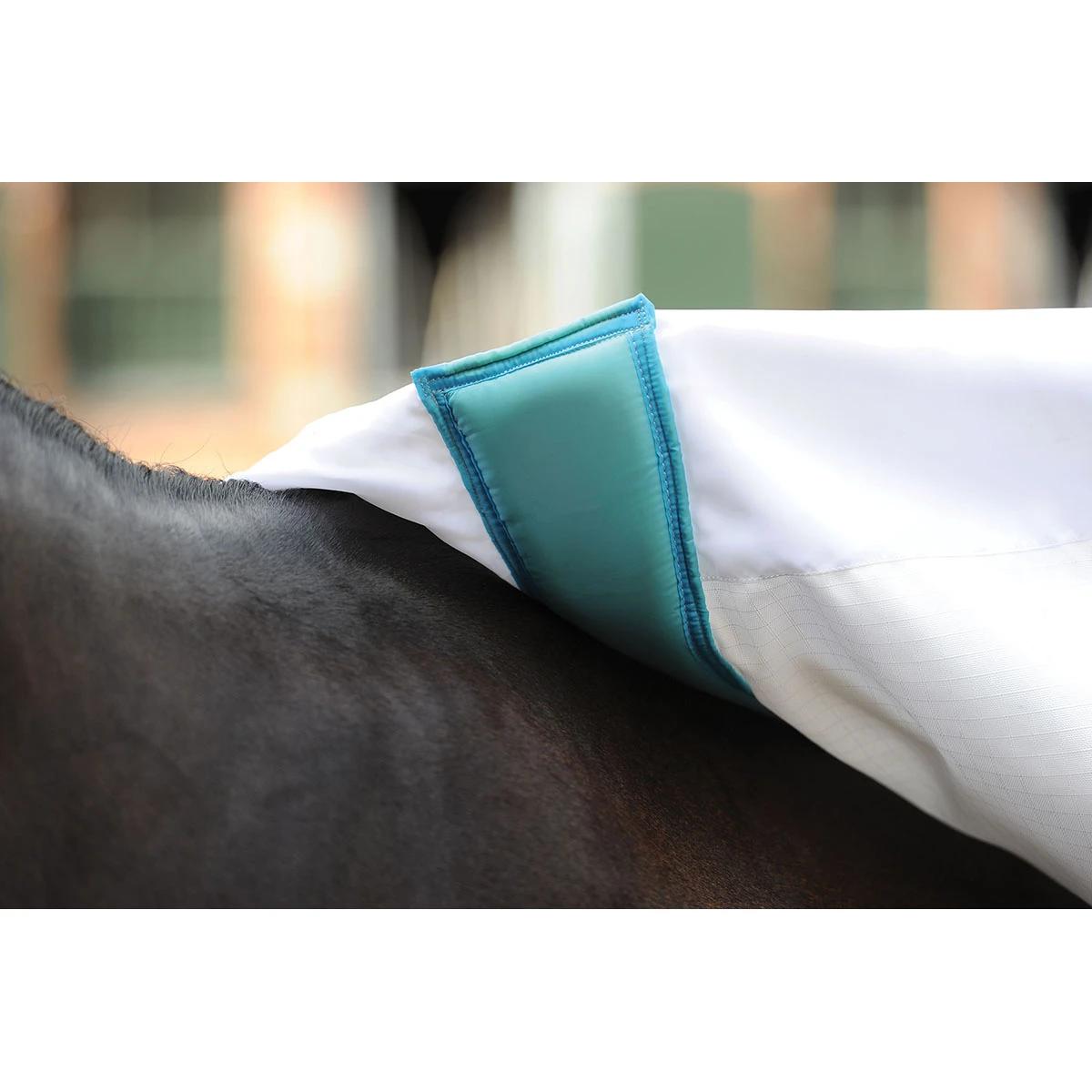 Eczeemdeken WeatherBeeta ComFiTec Sweet Itch Combo Wit-blauw - Afbeelding 9