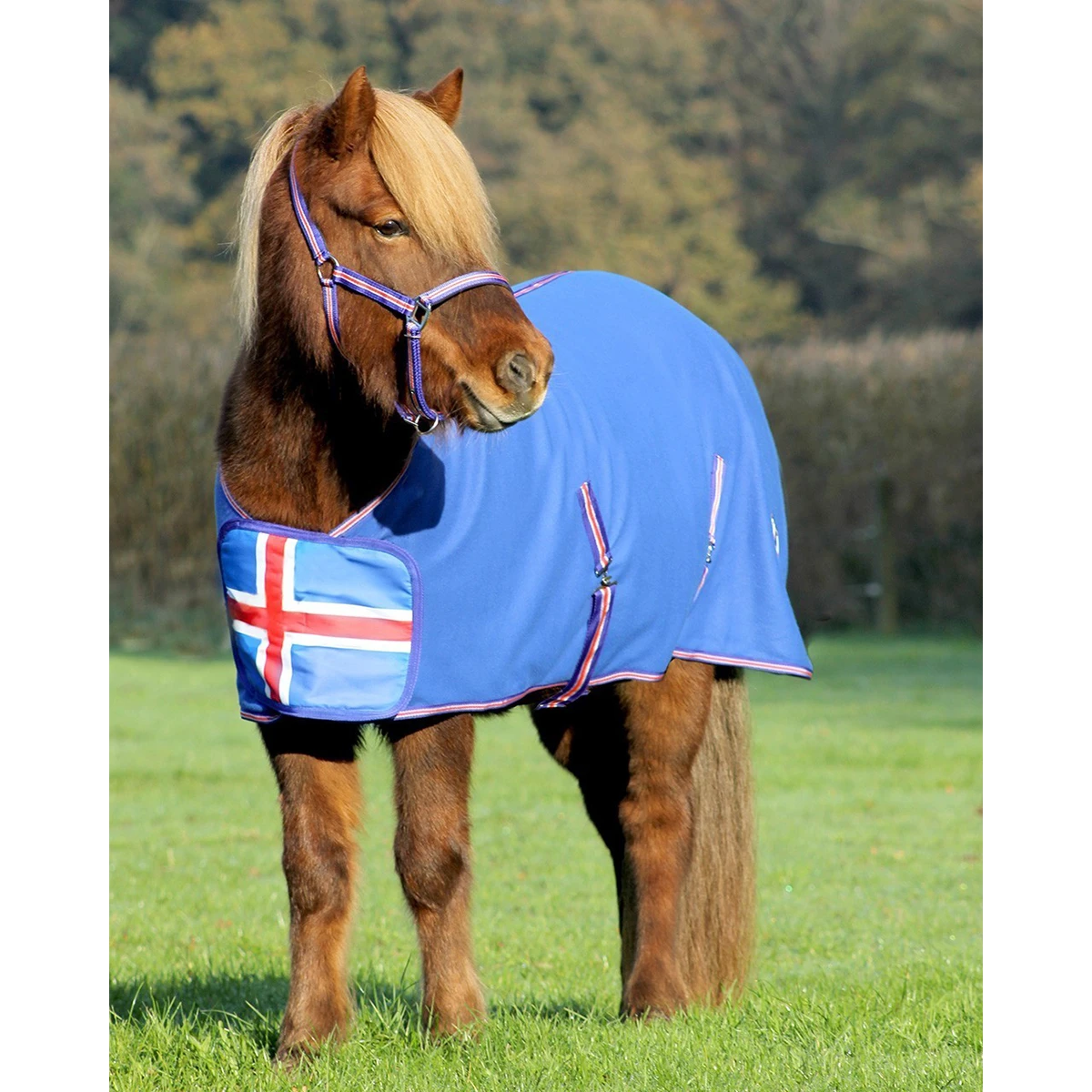 Fleecedeken QHP Icelandic Middenblauw - Afbeelding 2