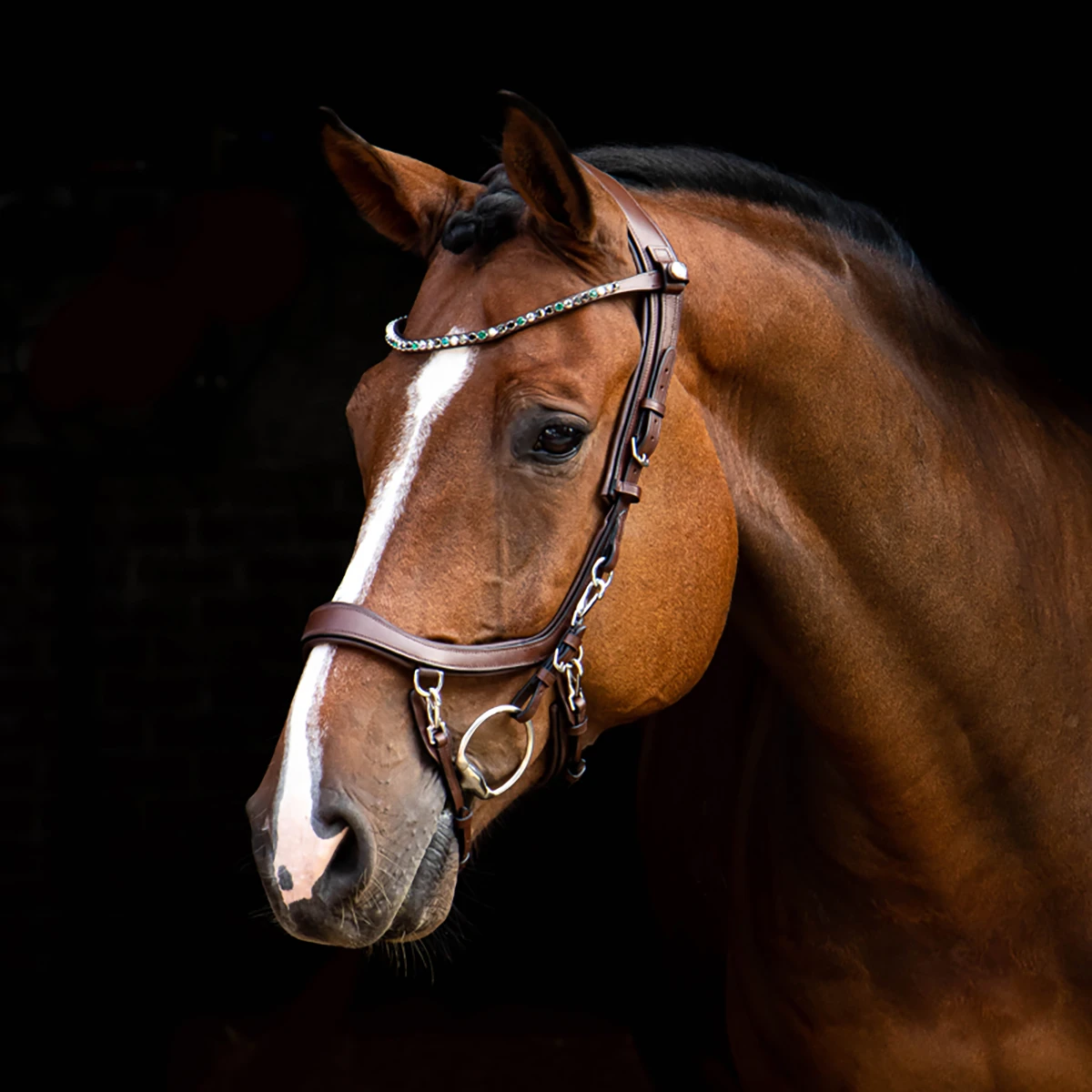 Frontriem PresTeq ShineBright Bruin-groen - Afbeelding 2