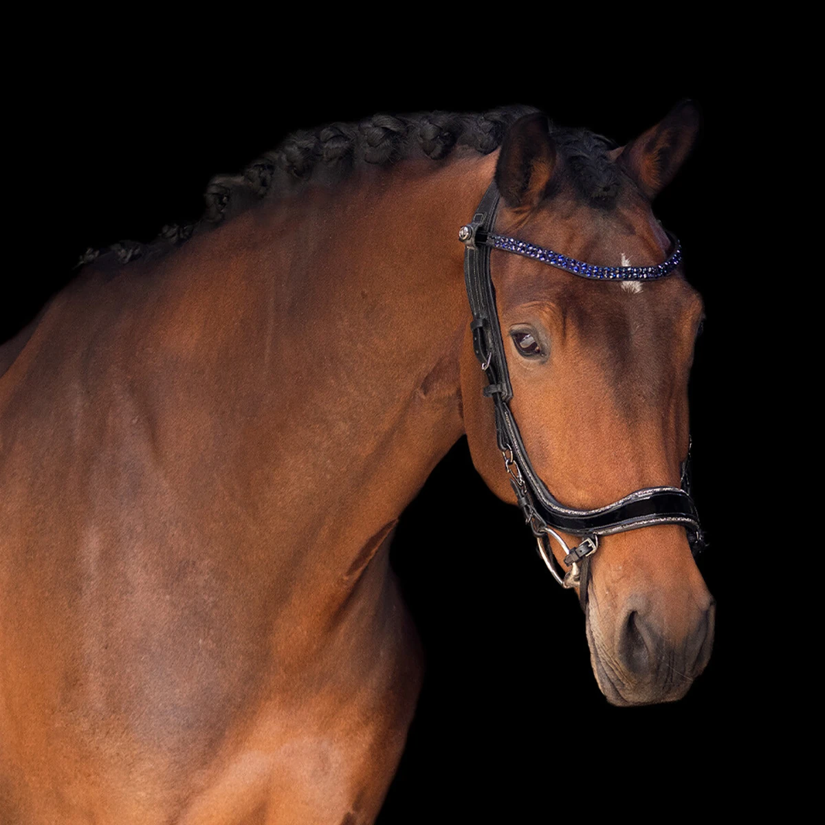 Frontriem PresTeq StarGlow Bruin-lichtblauw - Afbeelding 2