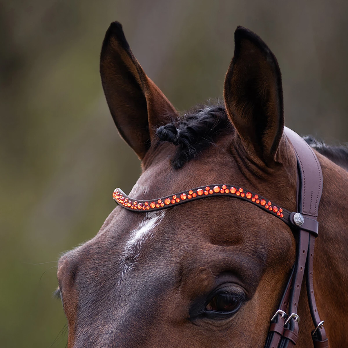 Frontriem QHP Eldorado Bruin-oranje - Afbeelding 2