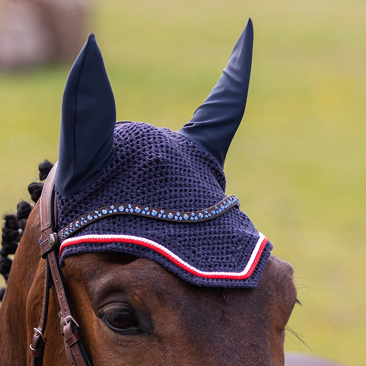 Frontriem QHP Eldorado Bruin - Afbeelding 2