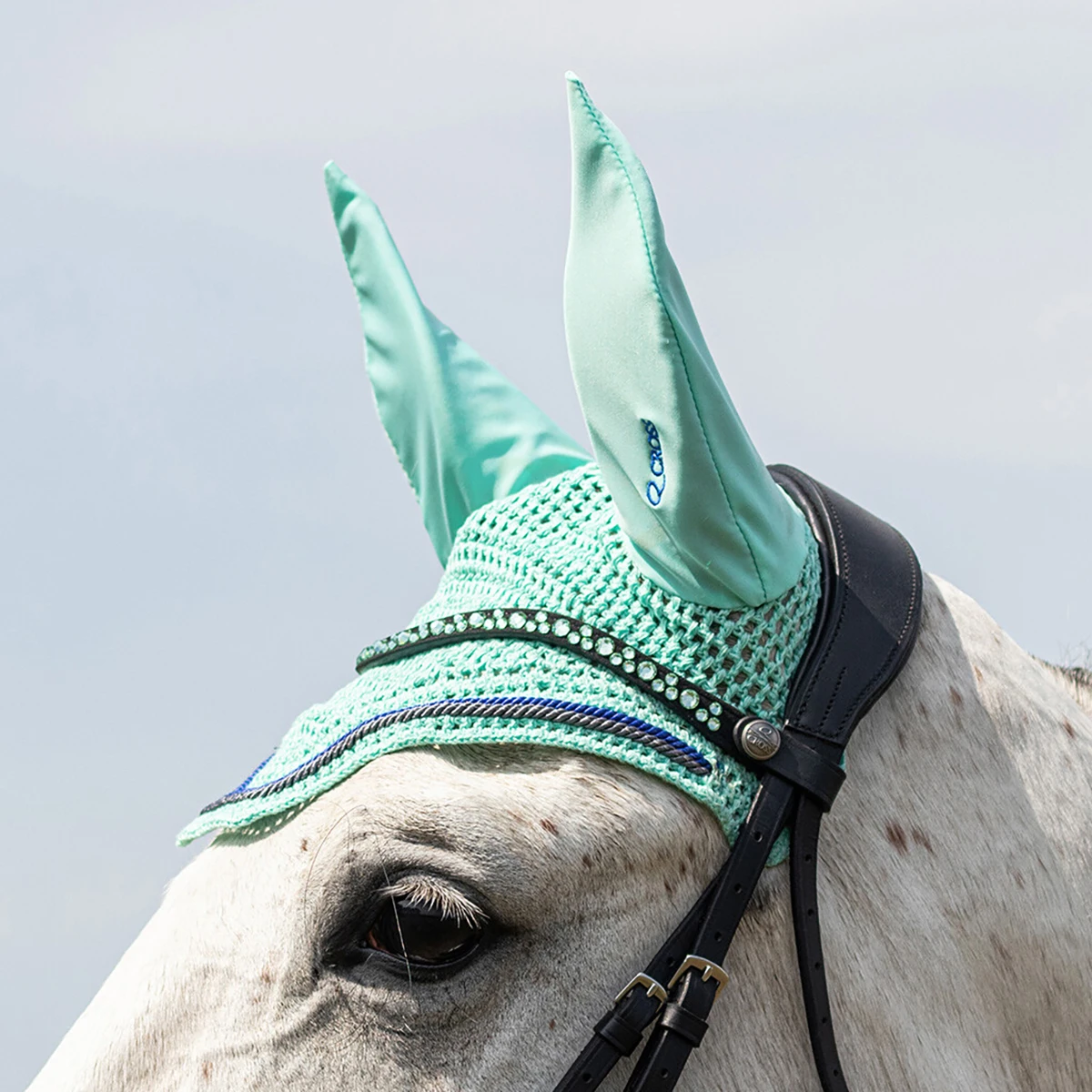 Frontriem QHP Eldorado Zwart-turquoise - Afbeelding 2