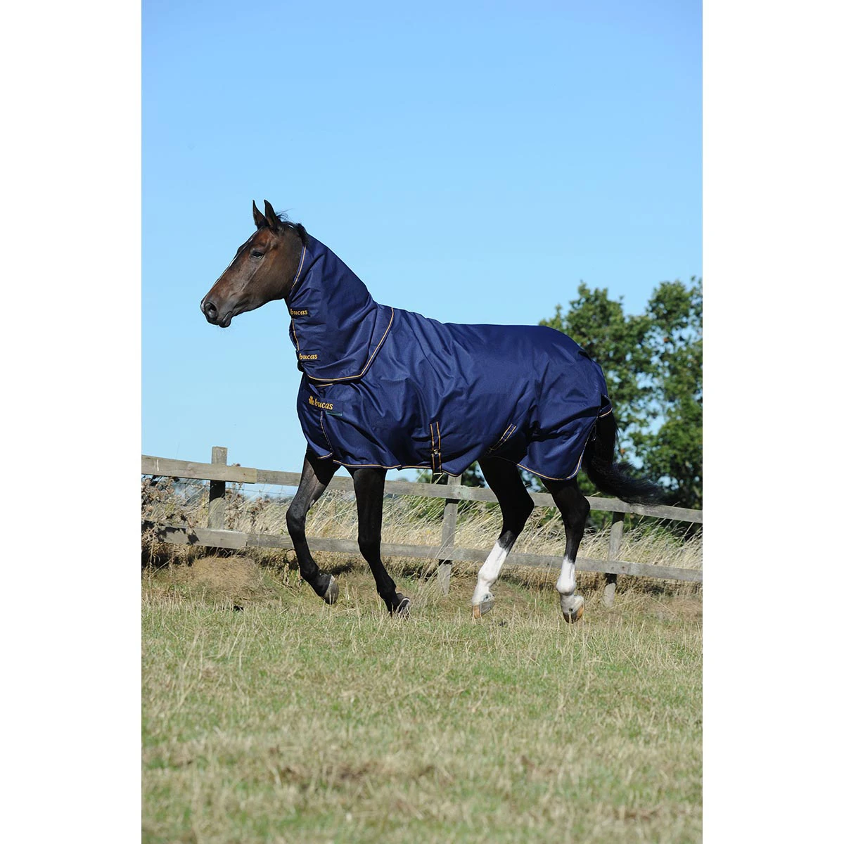 Halsstuk Bucas Irish Turnout Combi 300gr Donkerblauw-goud - Afbeelding 3