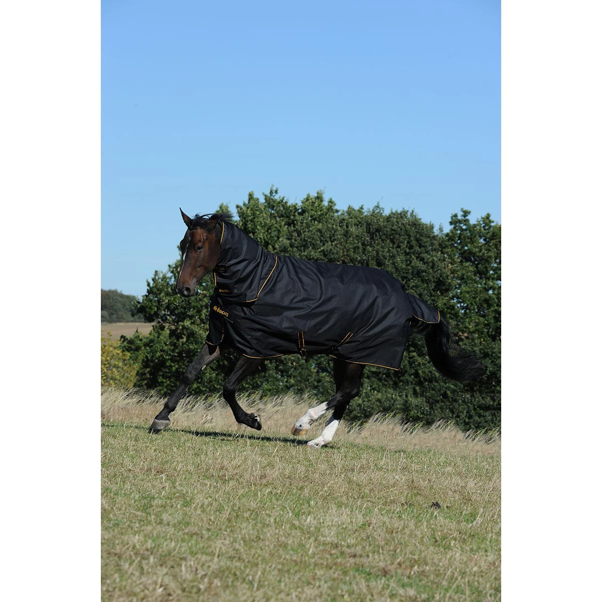 Halsstuk Bucas Irish Turnout Combi 300gr Zwart-goud - Afbeelding 3