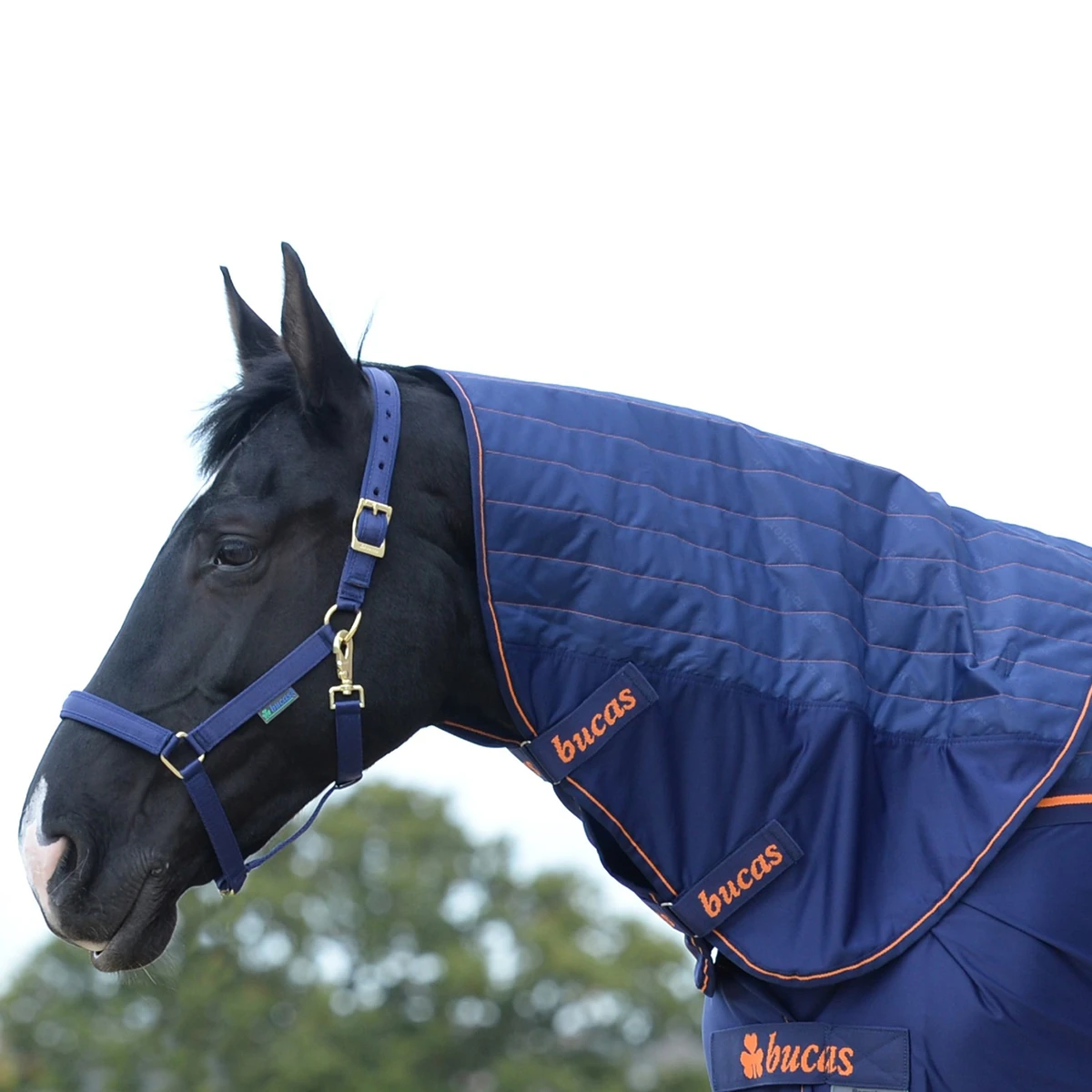 Halsstuk Bucas Therapy Donkerblauw-oranje - Afbeelding 3