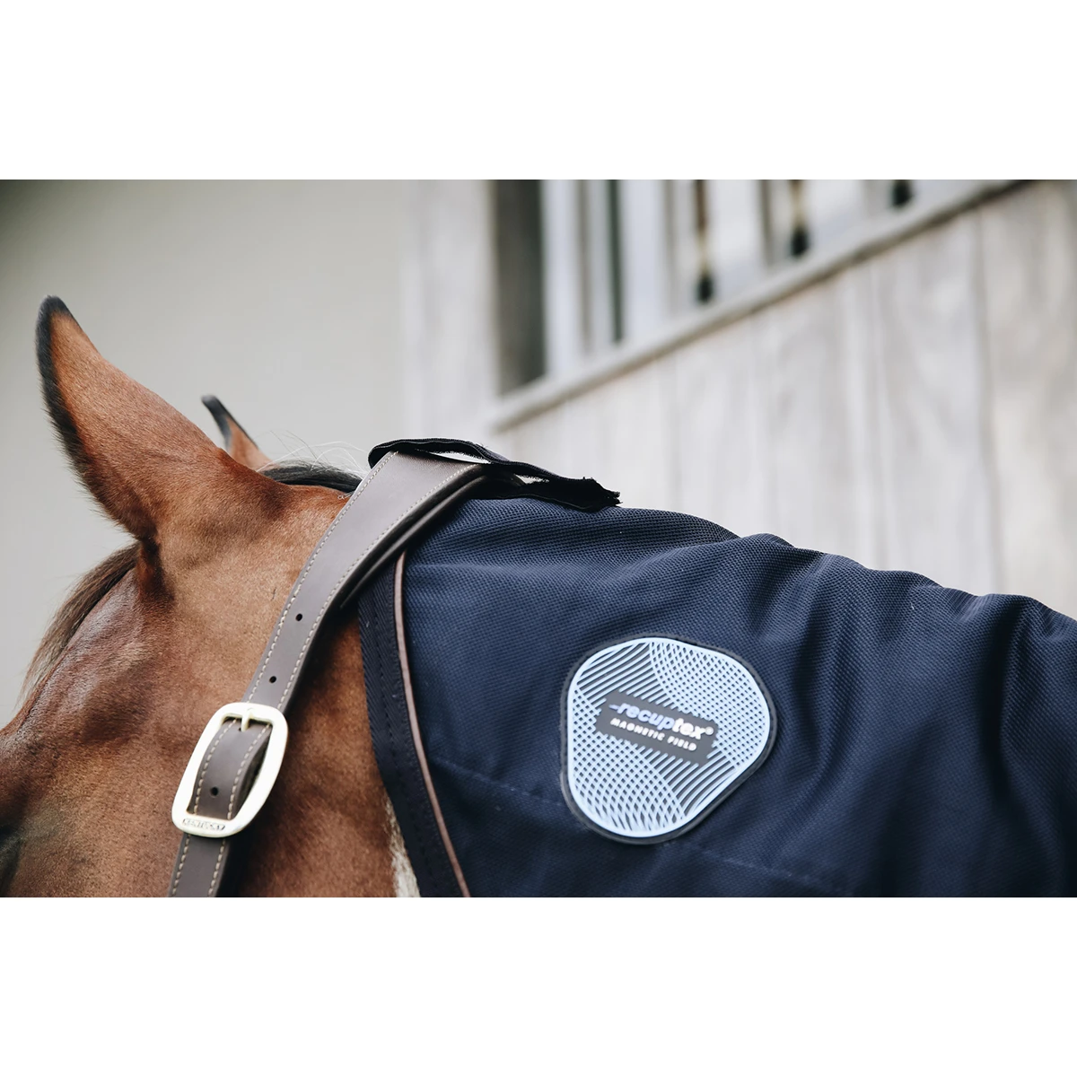 Halsstuk Kentucky Magnetic Recuptex Overige - Afbeelding 3