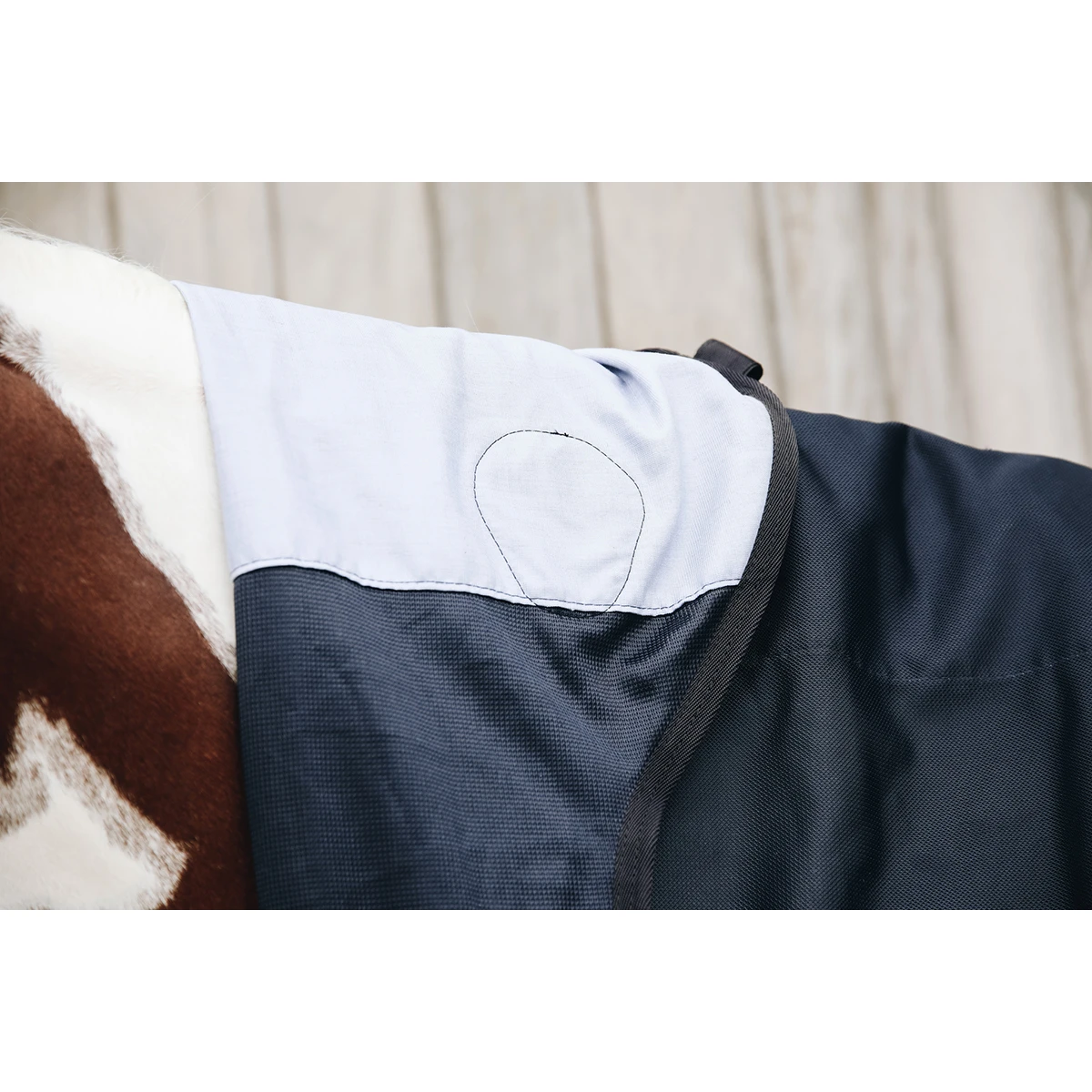 Halsstuk Kentucky Magnetic Recuptex Overige - Afbeelding 5