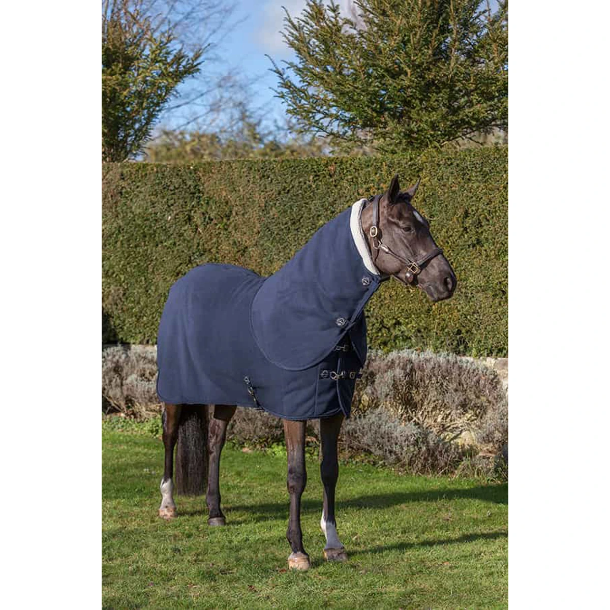 Halsstuk LeMieux Four Seasons Donkerblauw - Afbeelding 3