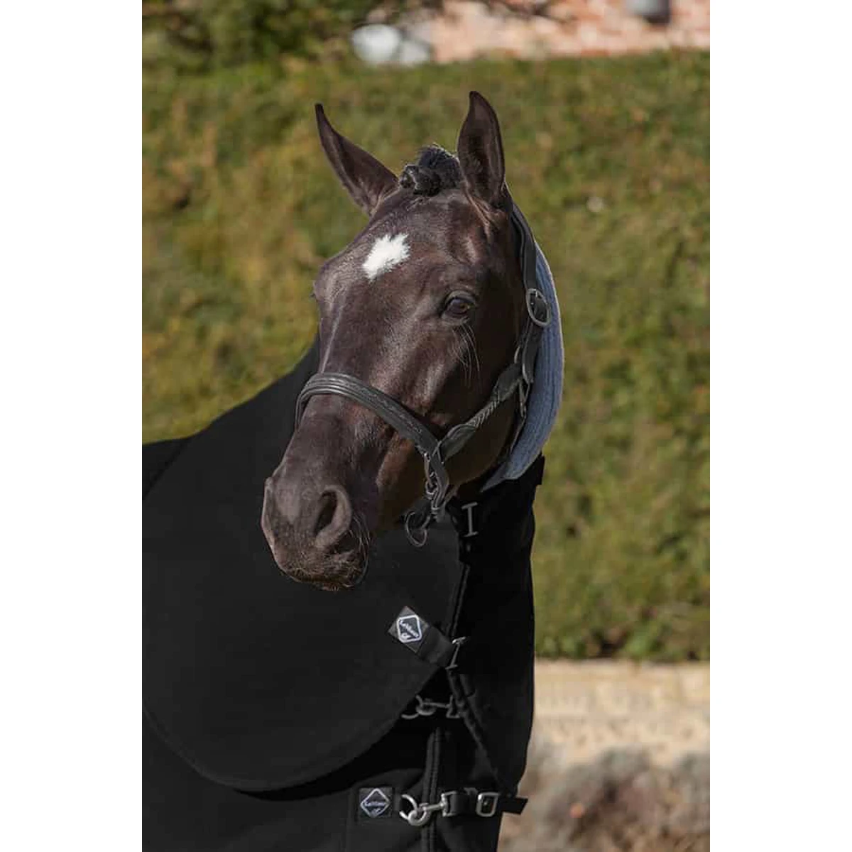 Halsstuk LeMieux Four Seasons Zwart - Afbeelding 2