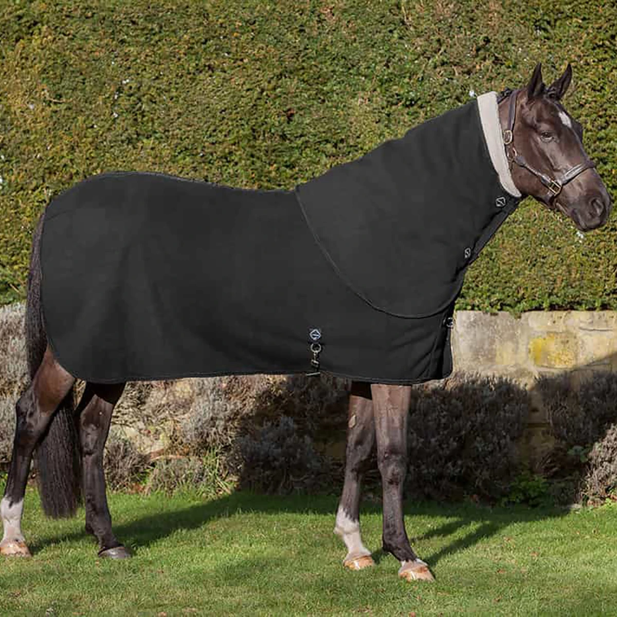 Halsstuk LeMieux Four Seasons Zwart - Afbeelding 3